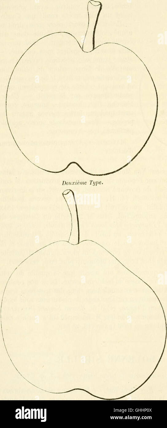 Dictionnaire De Pomologie Contenant L Histoire La Description La