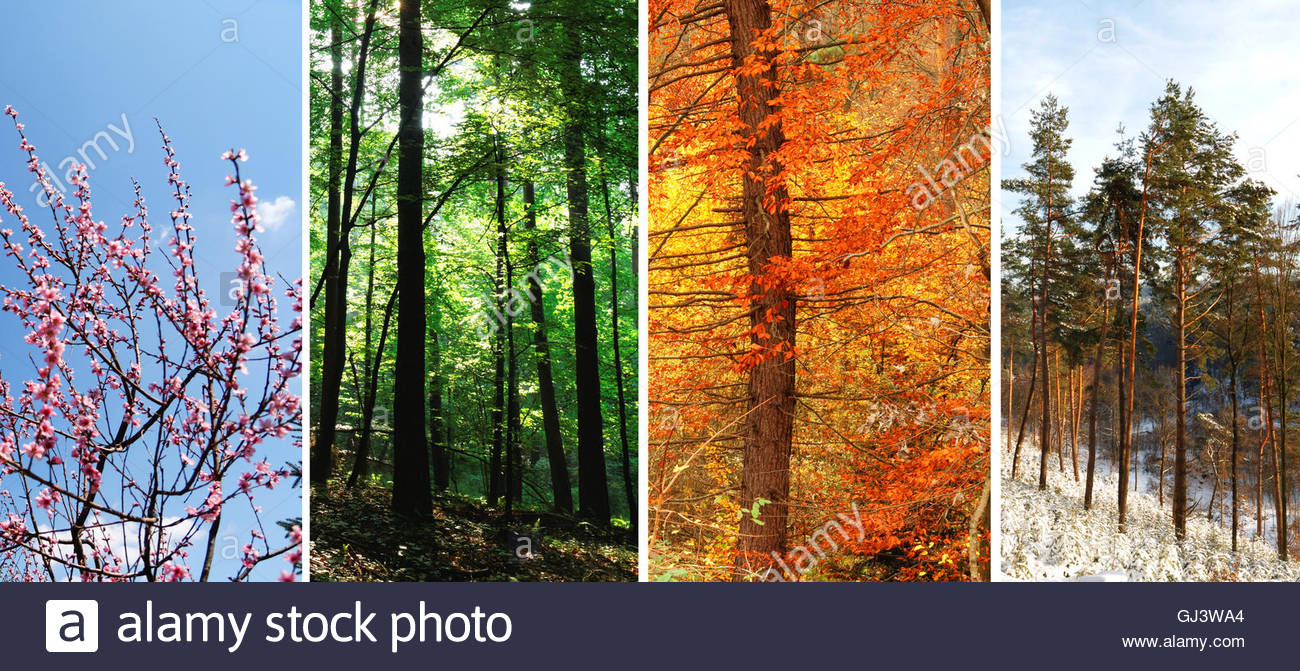 summer autumn