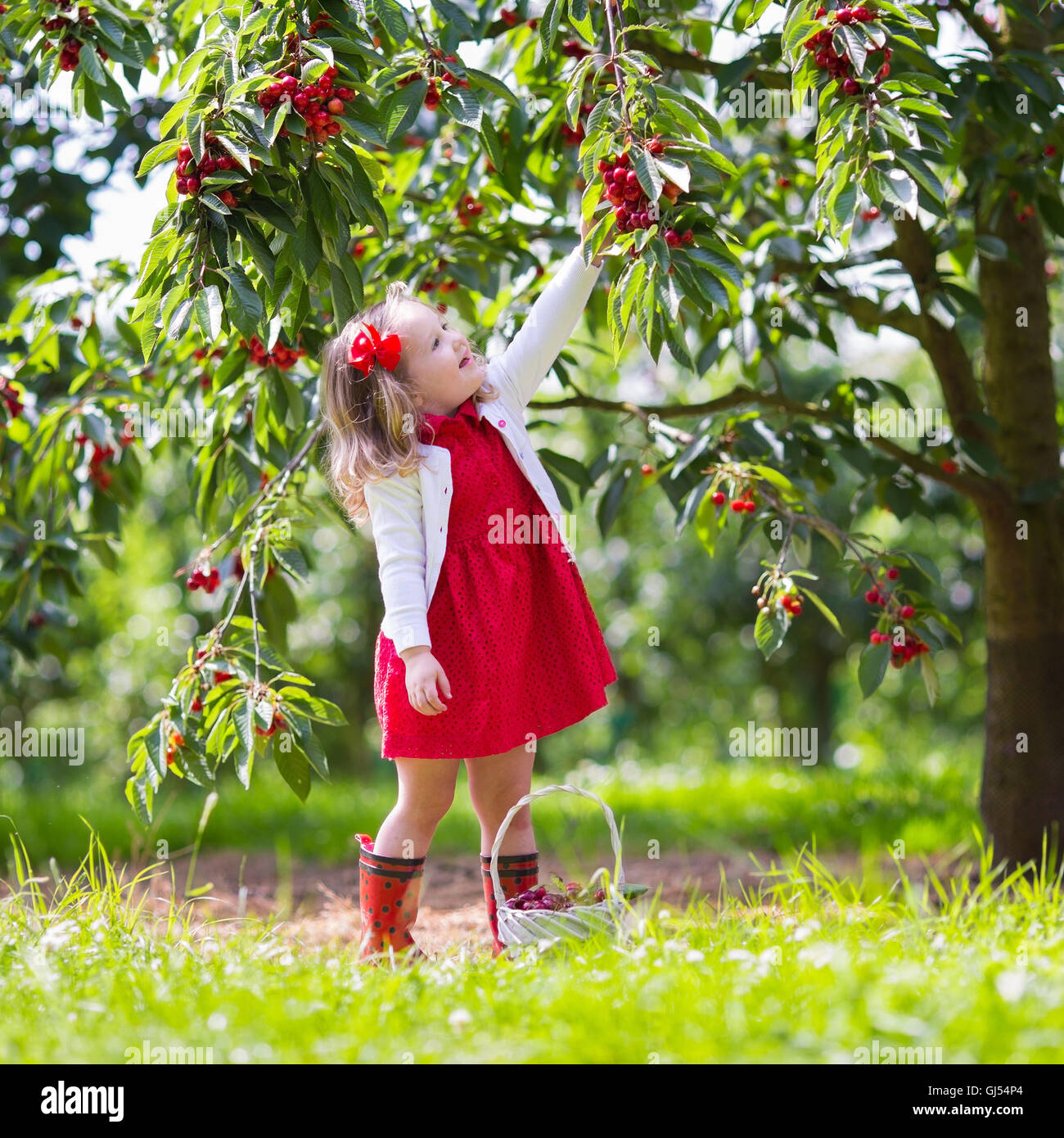 34 Cool fruit farm for Fruit Farm Photography
588gtk 34 Cool fruit farm for Fruit Farm Photography
588gtk