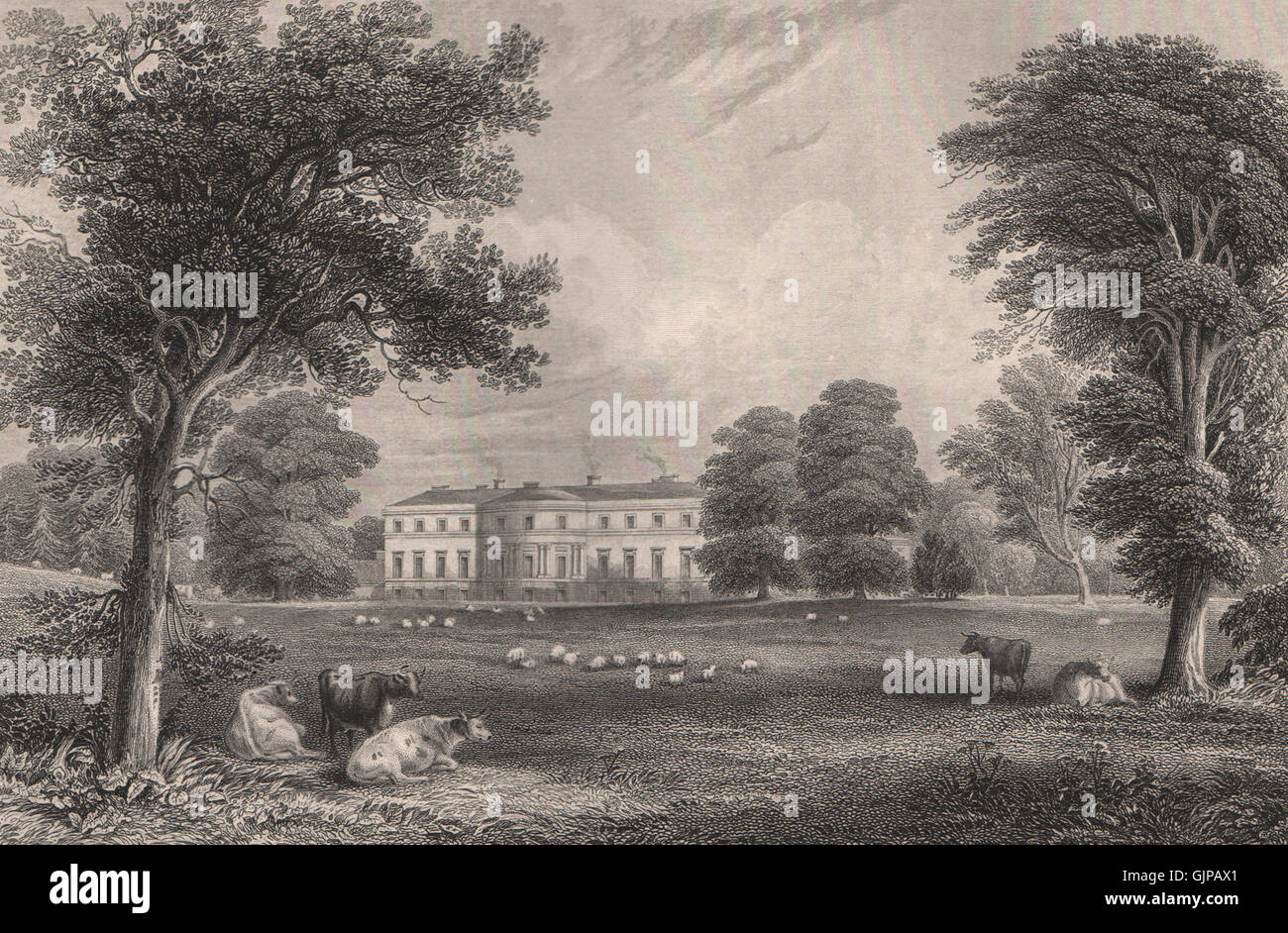 Broomhall House, Limekilns, Fife. The seat of the Earl of Elgin Stock