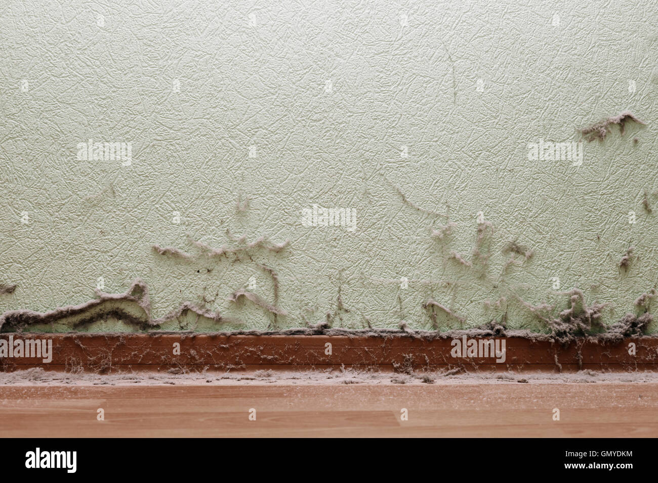 Dirty room with dust on wall and floor Stock Photo ...