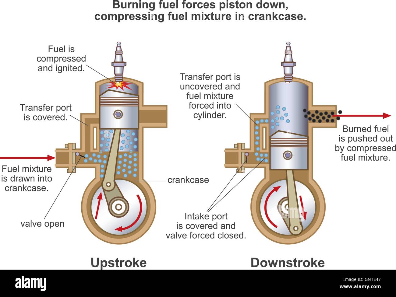 Upstroke, Downstroke The stroke length is determined by the cranks on