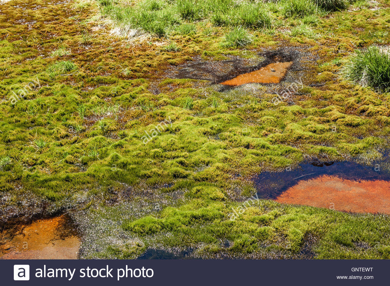 small alpine pools close to stubai glacier, austrian alps stock small alpine pools close to stubai glacier, austrian alps stock