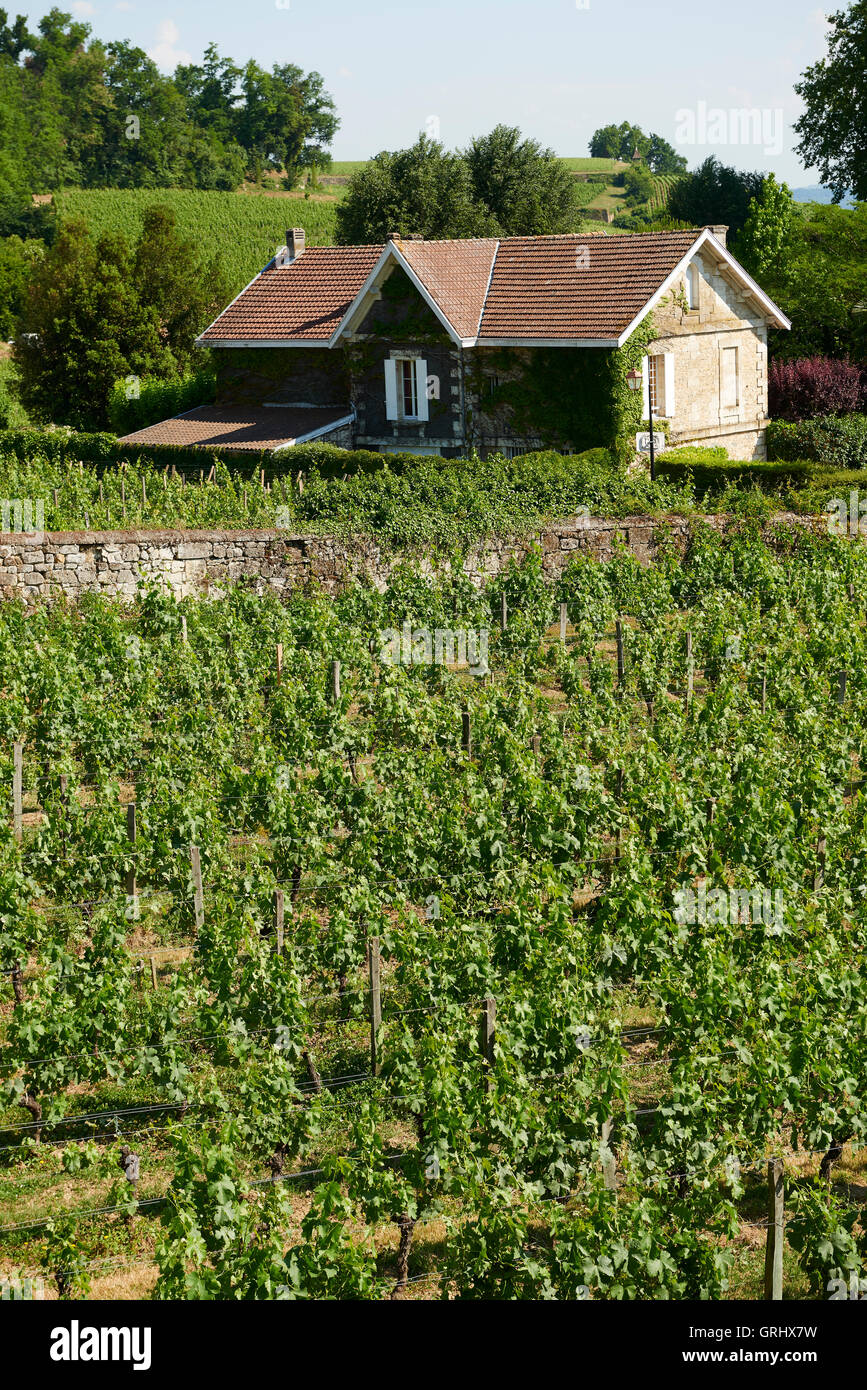 Bordeaux France Vineyard Hi Res Stock Photography And Images Alamy