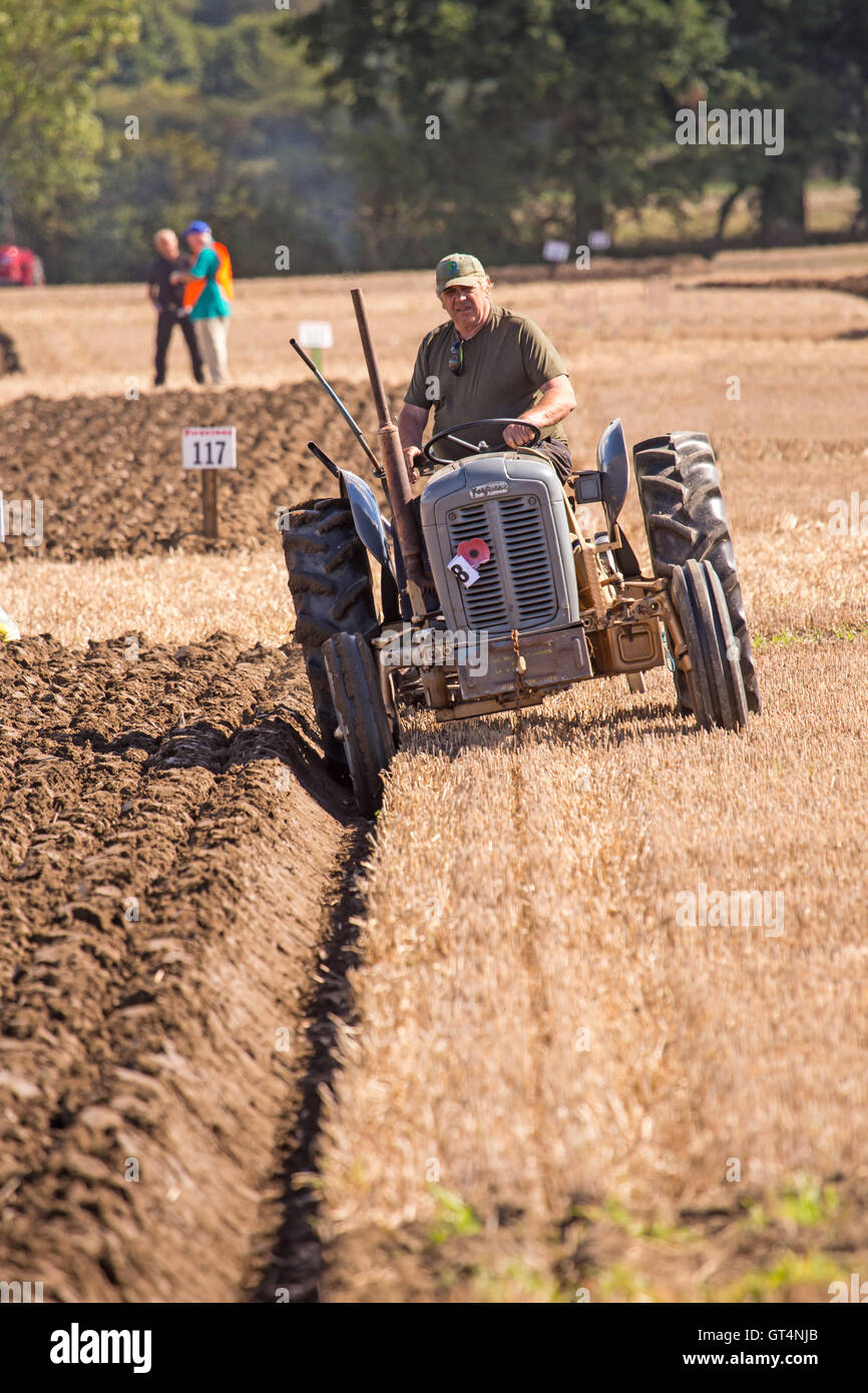 British & World Ploughing Championships at Crockey Hill York Stock