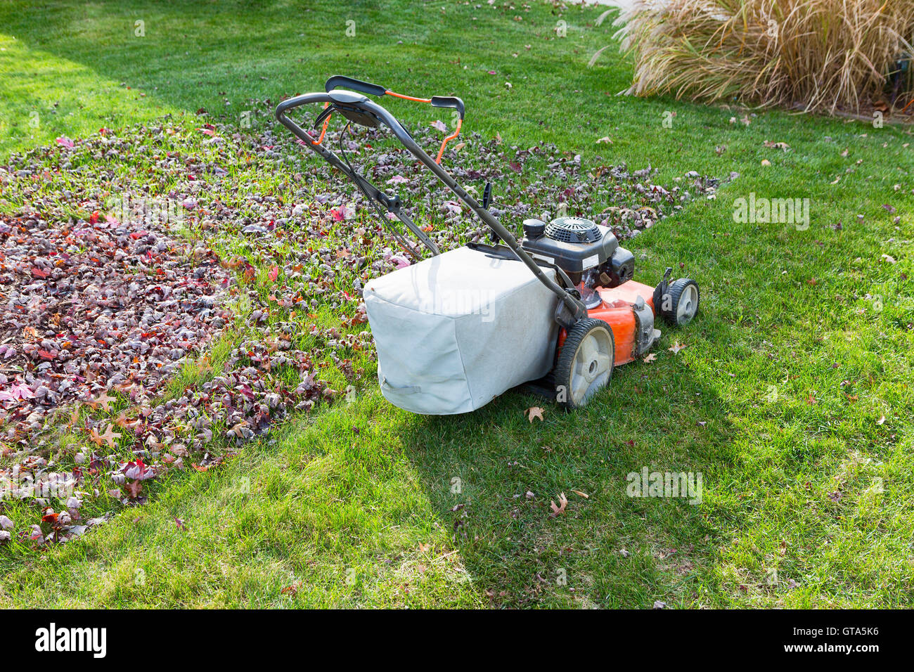 cutting-and-bagging-grass-and-leaves-in-the-fall-with-a-lawn-mower-GTA5K6.jpg