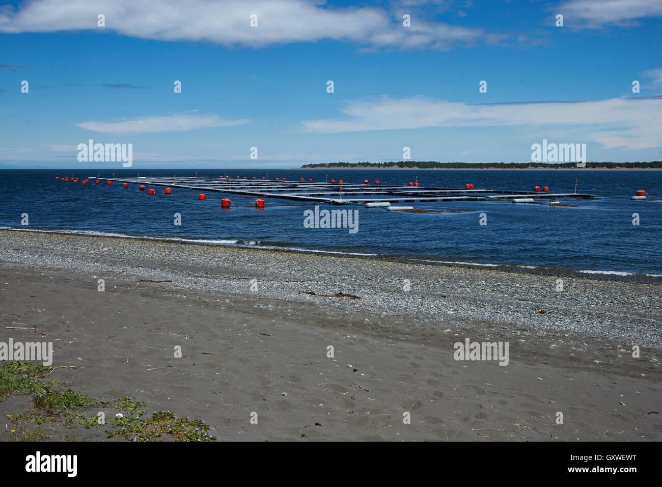 Aquaculture Cage Fish Farming Net Hi Res Stock Photography And Images