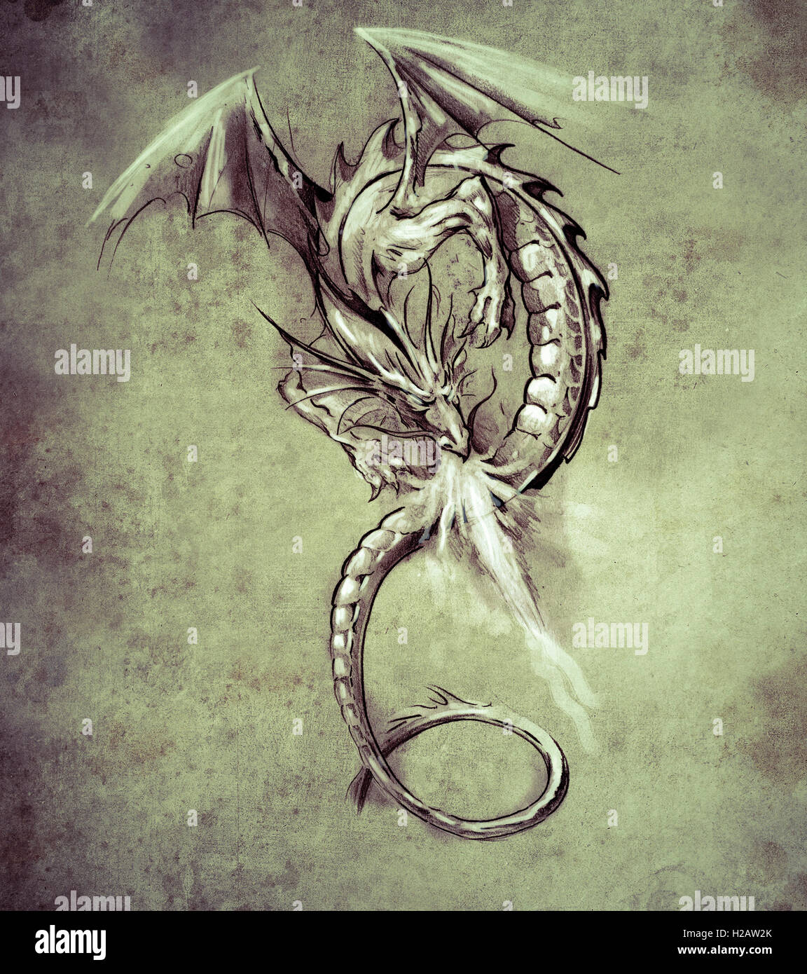 fantasy dragon sketch of tattoo art medieval monster stock photo fantasy dragon sketch of tattoo art medieval monster stock photo