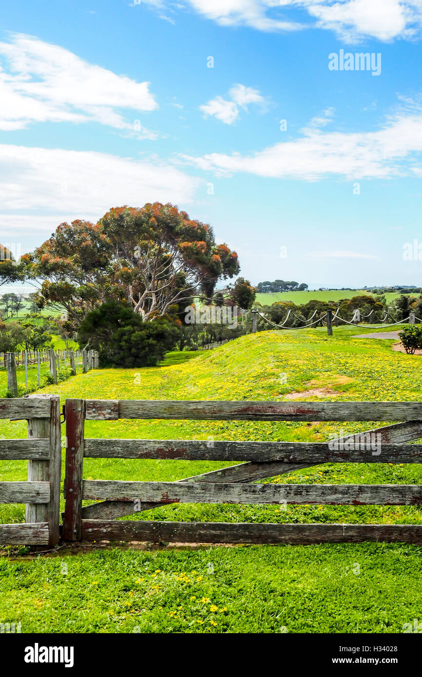 A wooden gate to a farmyard in rural Victoria, Australia Stock Photo