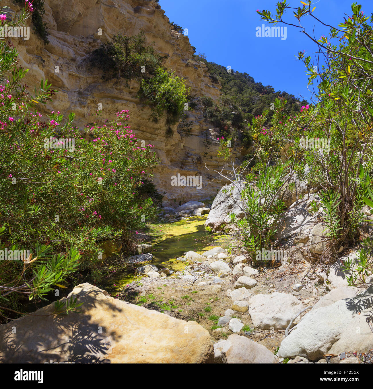 Gorge Avakas On The Akamas Peninsula Cyprus Stock Photo Alamy