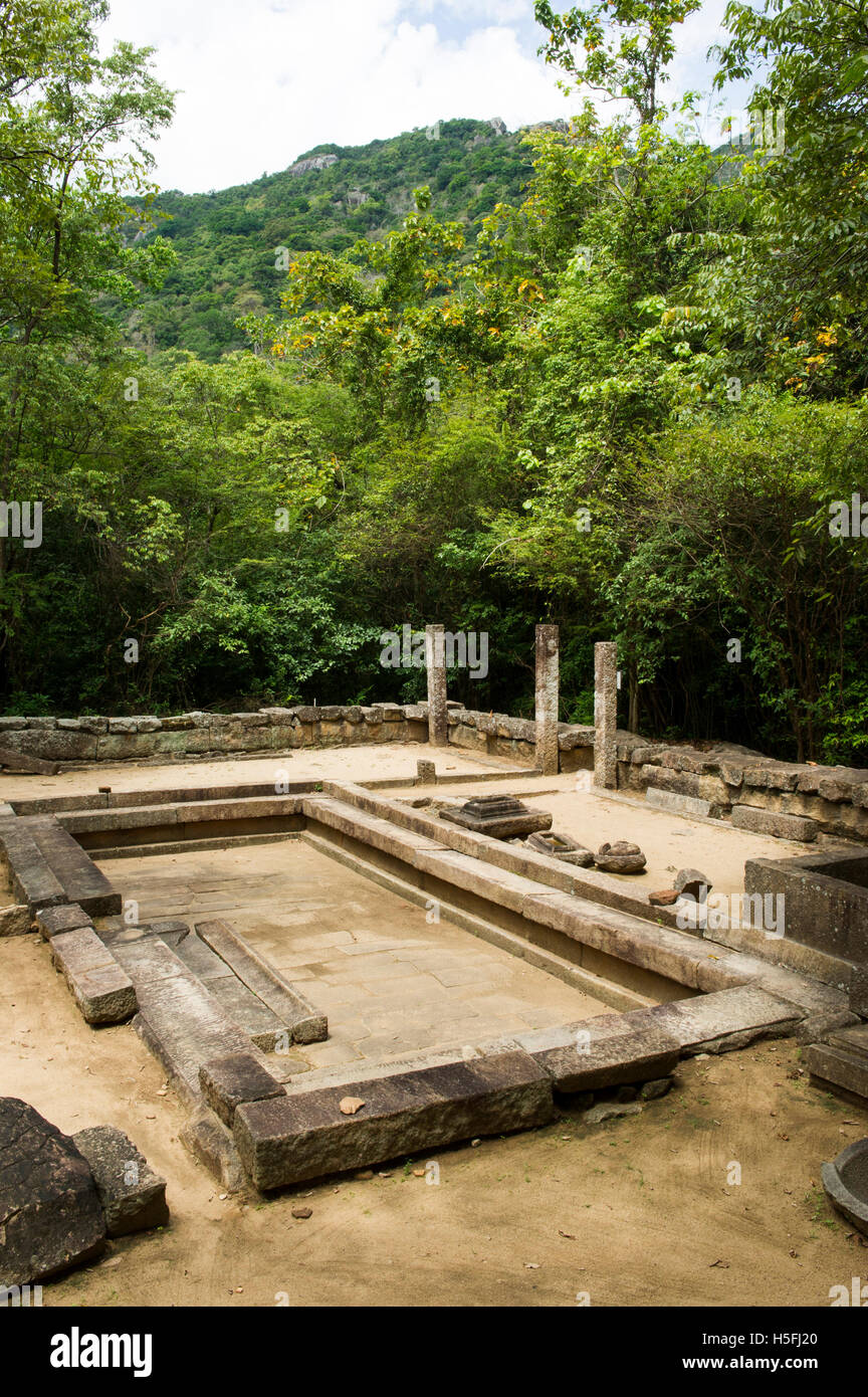 ceylon buddhist personals It’s famed for its ancient buddhist ruins has many ruins dating back more than 2,000 years ceylon eco tours is the best way to travel sri lanka. ceylon buddhist personals It’s famed for its ancient buddhist ruins has many ruins dating back more than 2,000 years ceylon eco tours is the best way to travel sri lanka.