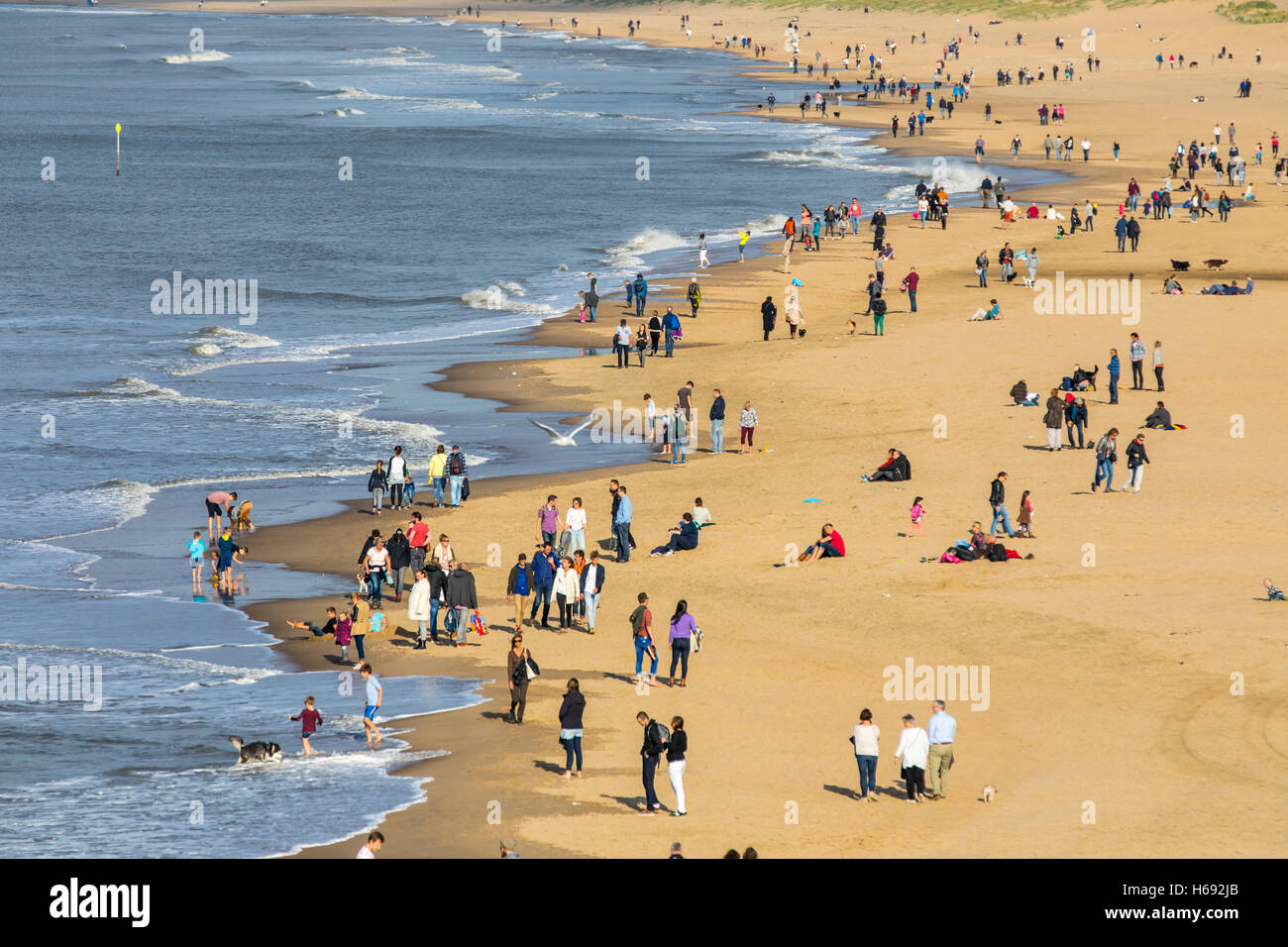 People On The Beach Of Scheveningen Seaside Resort Of The Hague The