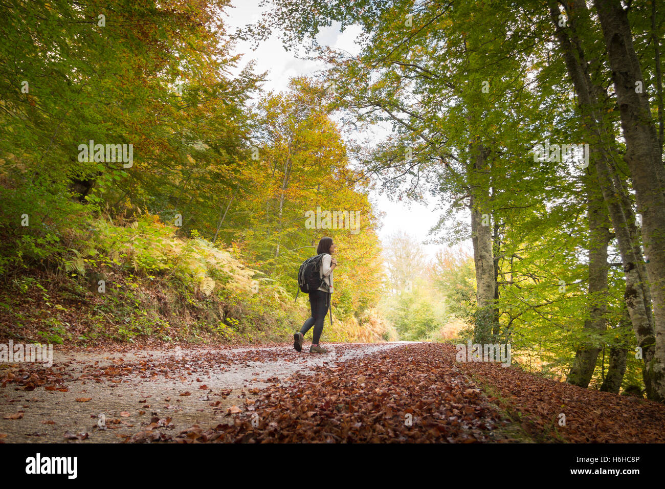 Woman Backpacker Hi Res Stock Photography And Images Alamy