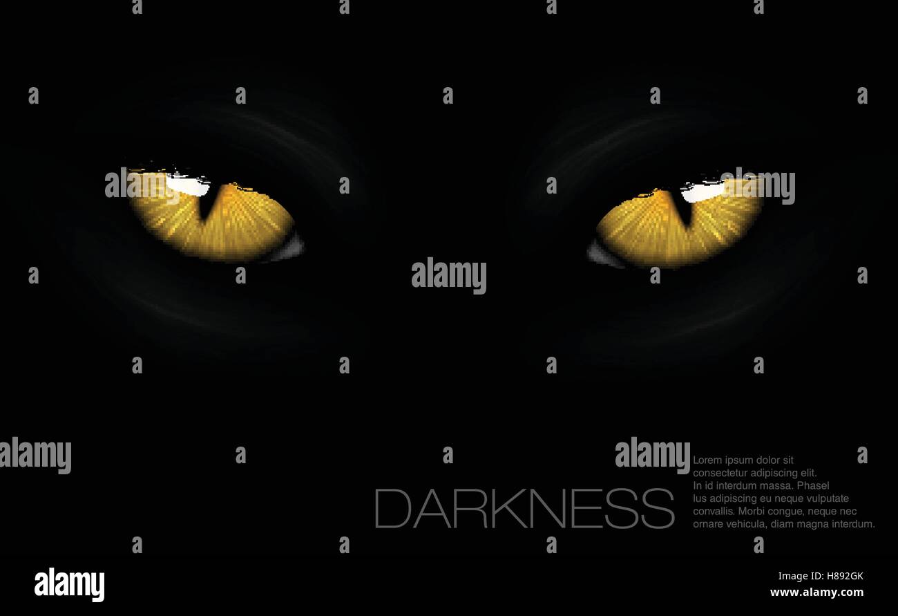 Cat Eyes In Darkness Stock Vector Image Art Alamy