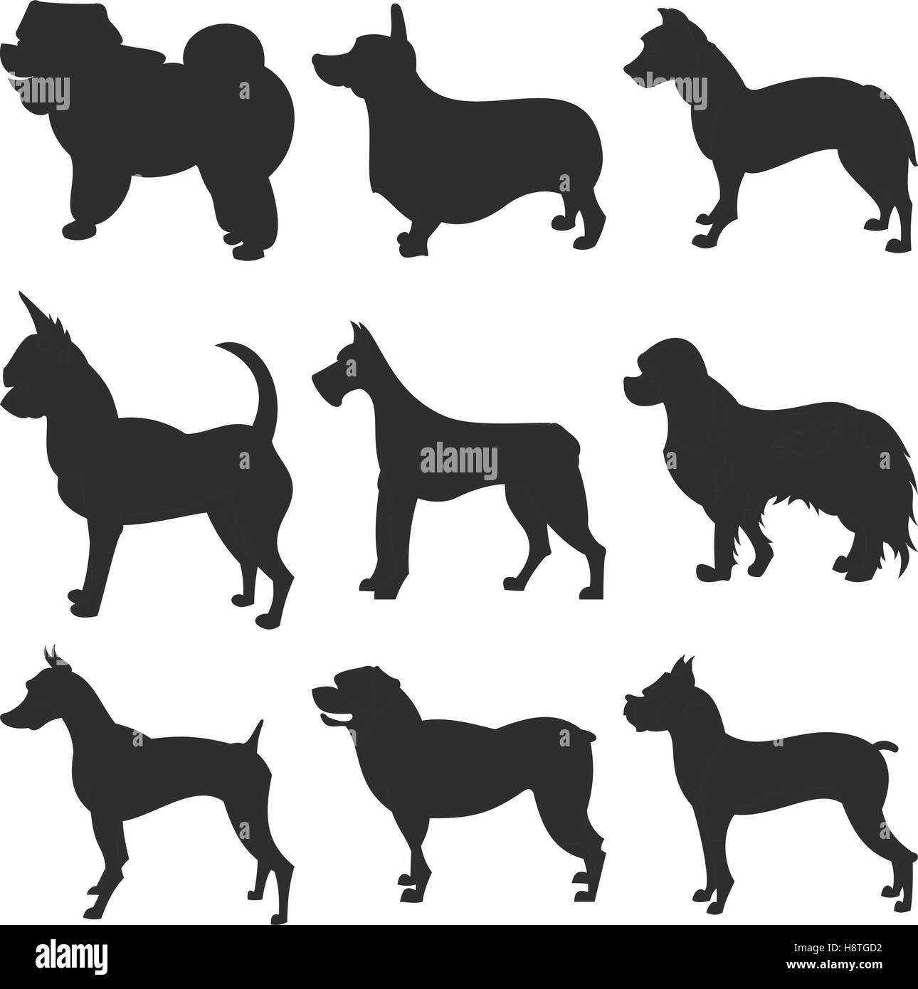 set of dogs silhouette boxer and chihuahua corgi and doberman vector illustration
