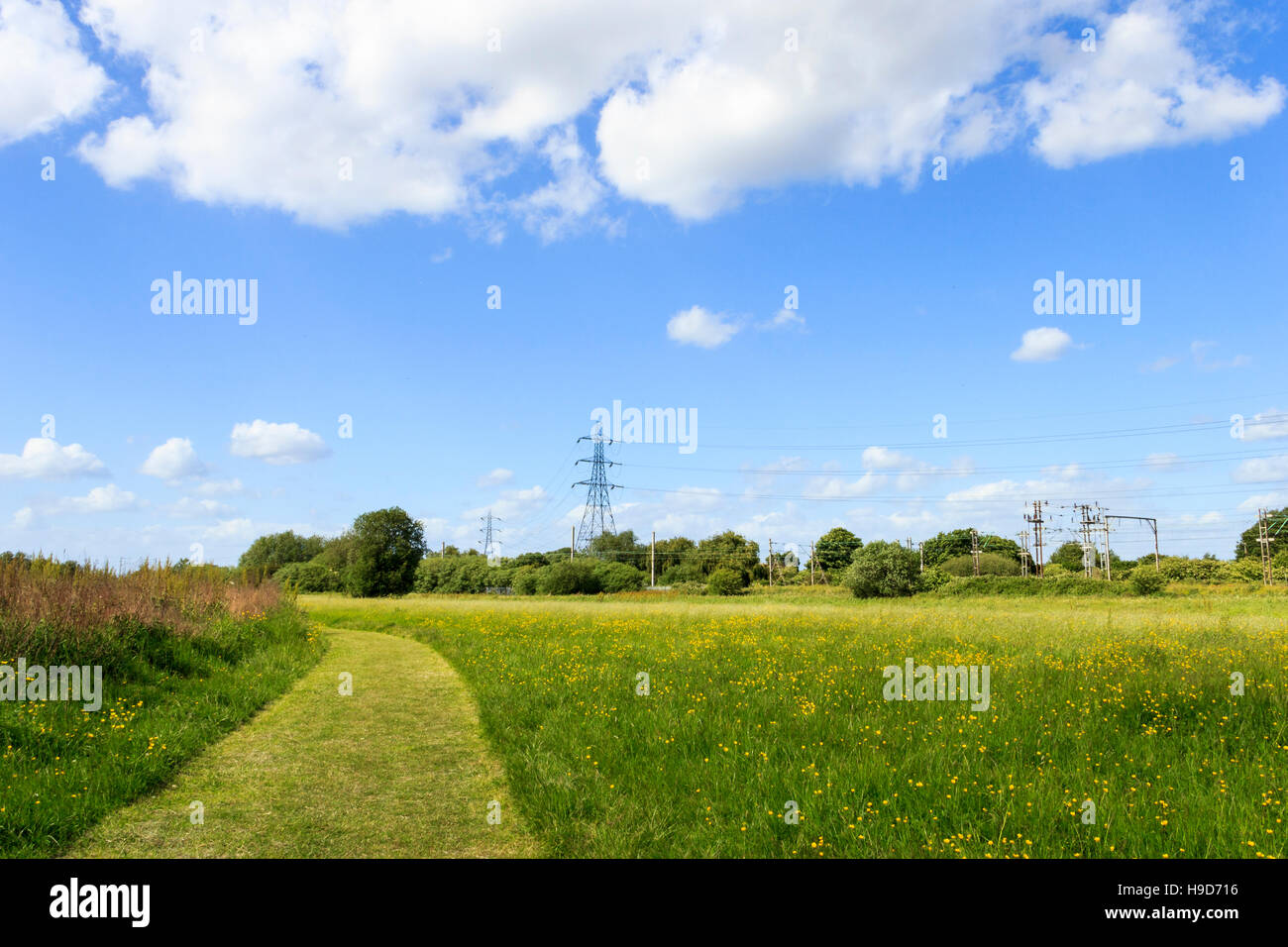 Walthamstow Marshes, London Stock Photo, Royalty Free Image 126295378