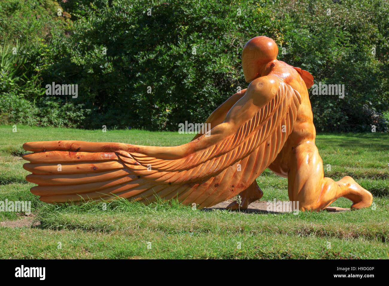 carving reminds me of greek mythology icarus son of daedalus who dared H9DG0P