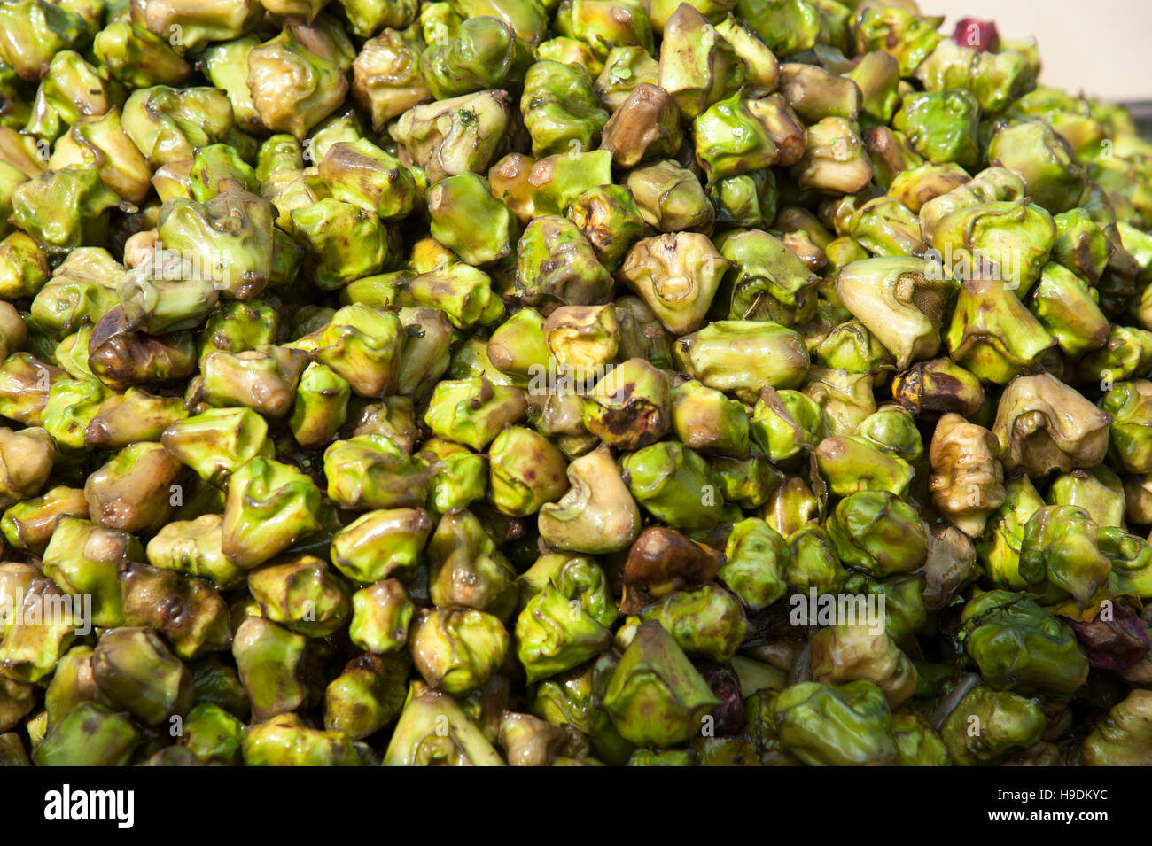 Singhara Water chestnuts at Pushkar Rajasthan India Stock Photo