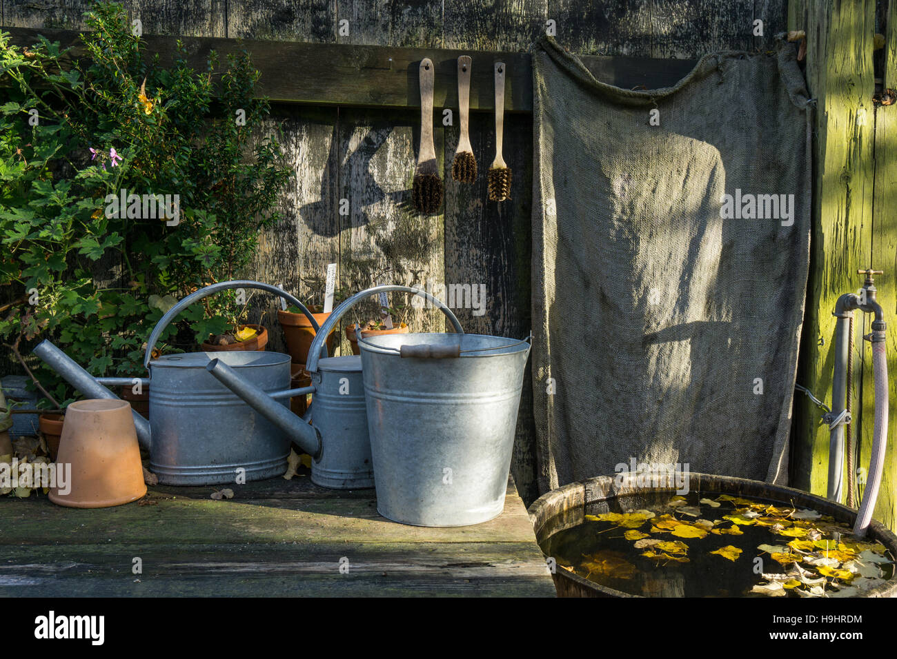 Romantic Idyllic Plant Table In The Garden With Old Retro Flower Pot Pots Tools And Plants Rustic Potting Soil Trowe Romantic Idyllic Plant Table In The Garden With Old Retro Flower Pot Pots Tools And Plants Rustic Potting Soil Trowe