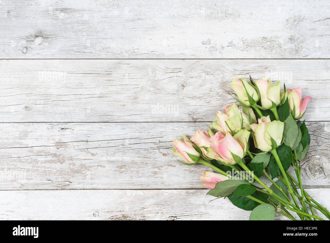 White Flower Vase White Flower Vase