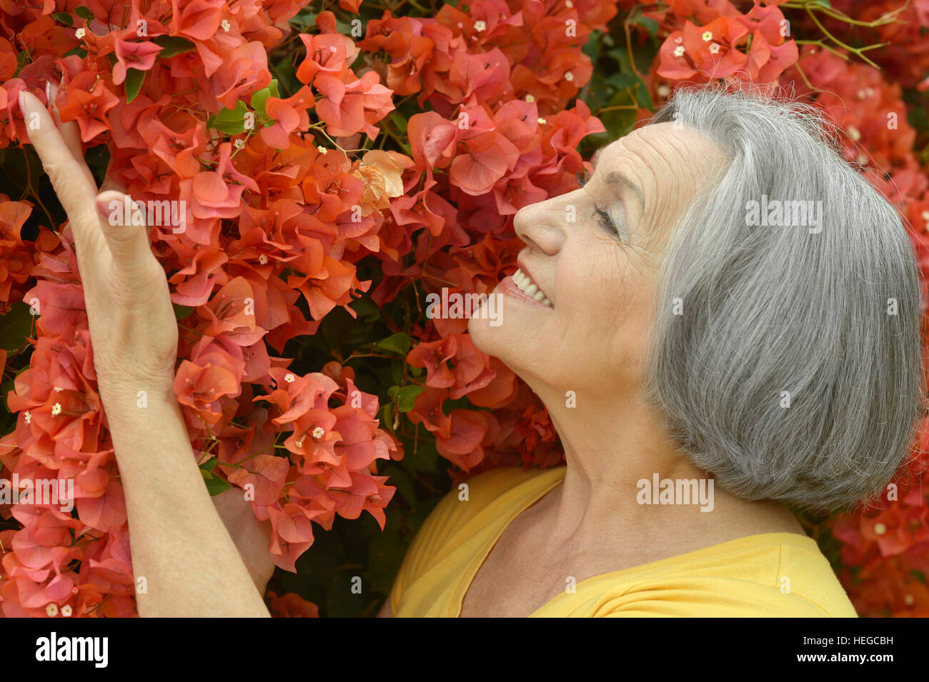 Beautiful Mature Woman Stock Photo Alamy