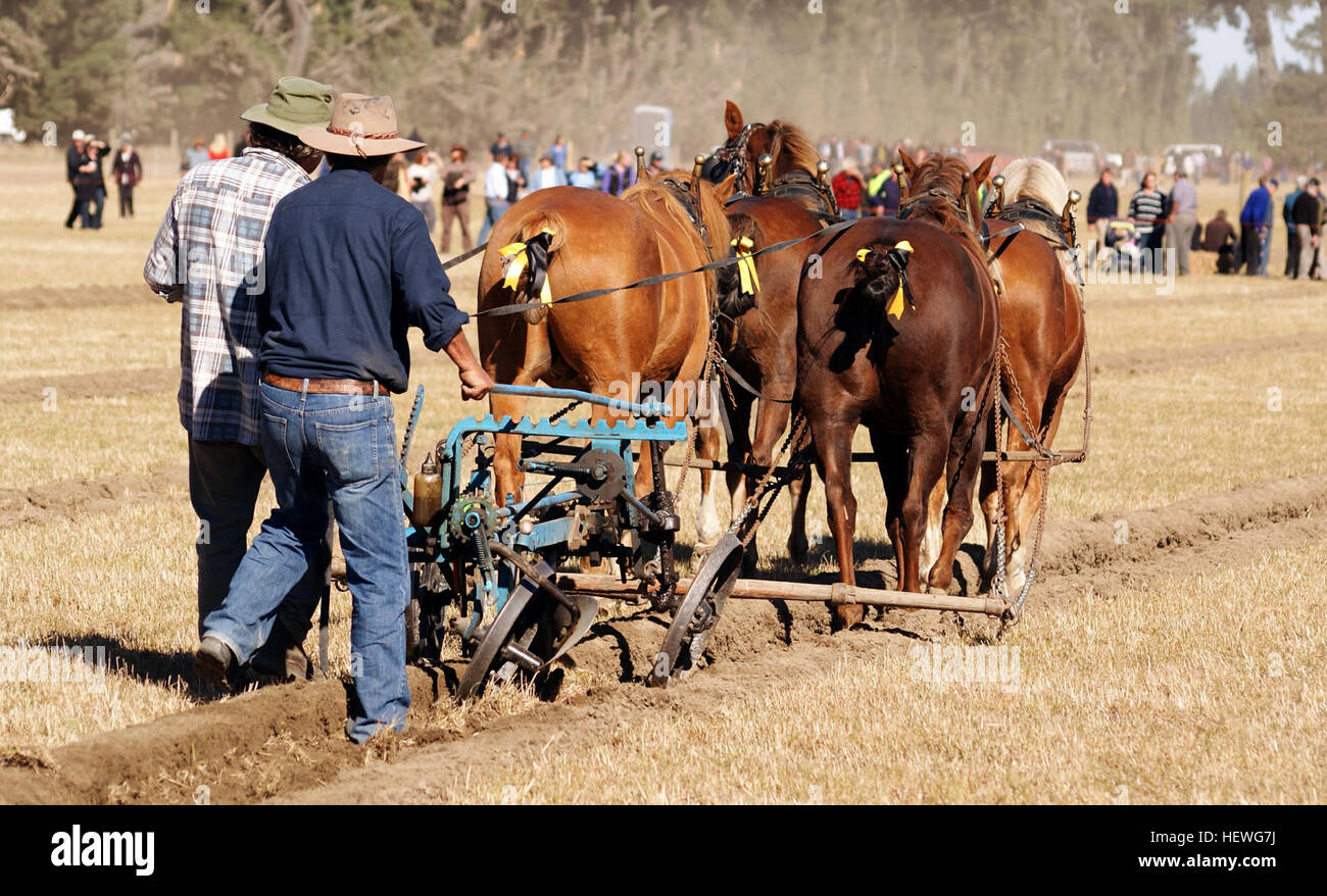 The plough (UK) or plow (US; both /ˈplaʊ/) is a tool (or machine Stock