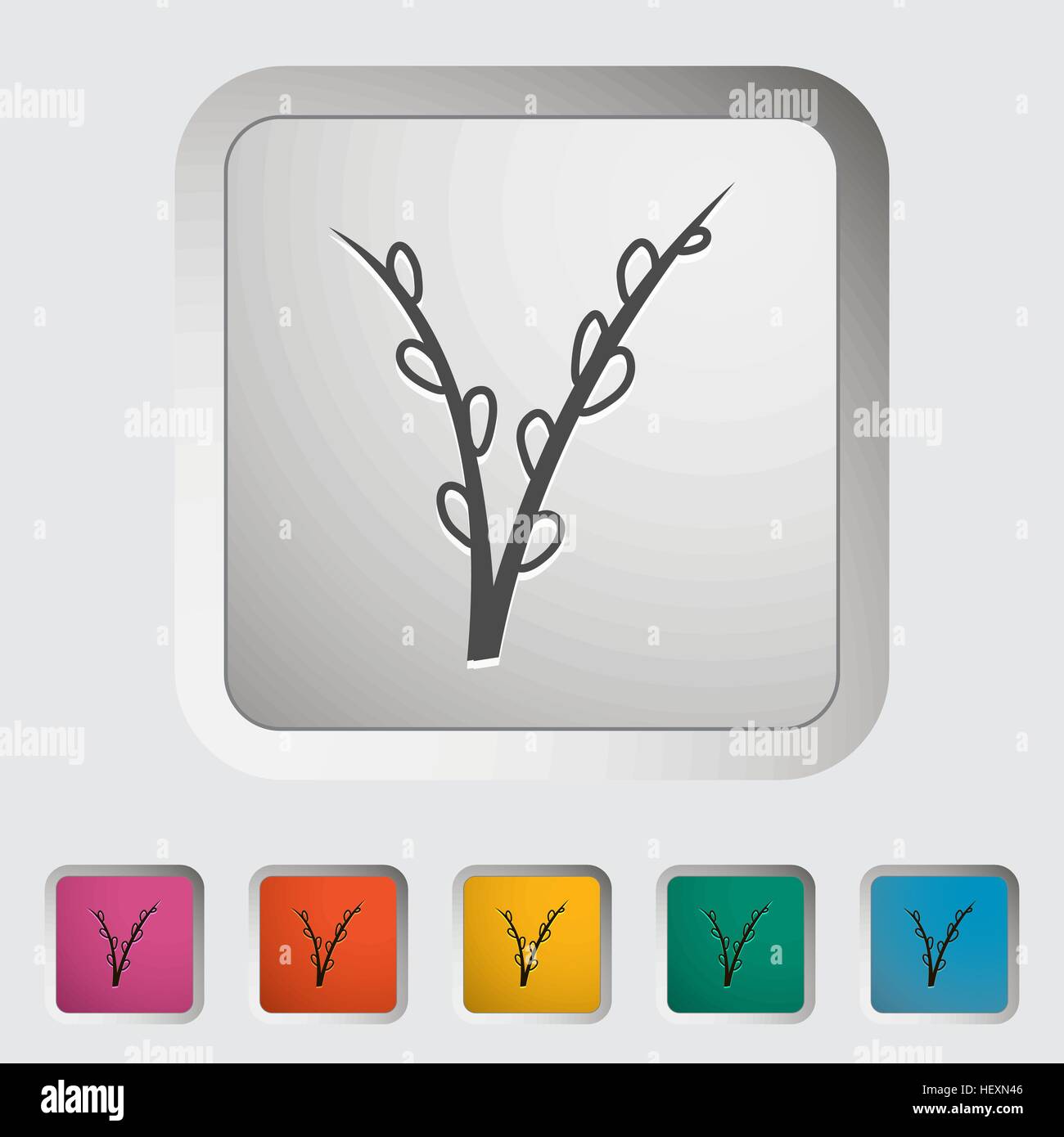 Pussy Willow Single Icon Vector Illustration Stock Vector Image Art