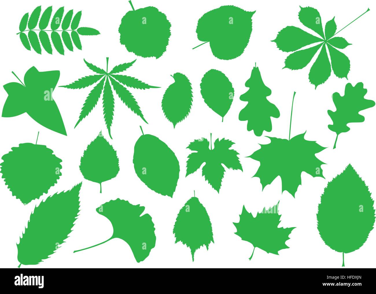 tree leaves Stock Vector Art & Illustration, Vector Image: 129998701