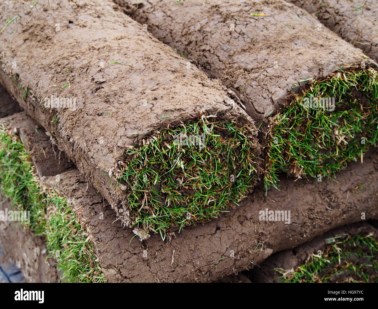 Image result for rolled up turf