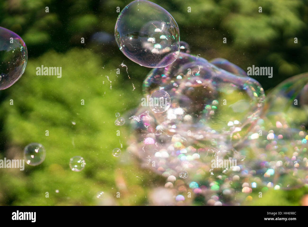 bubbles floating