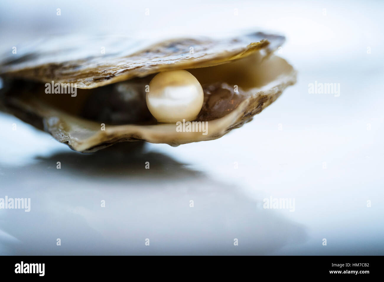 Pearl inside oyster shell Stock Photo, Royalty Free Image 132929078