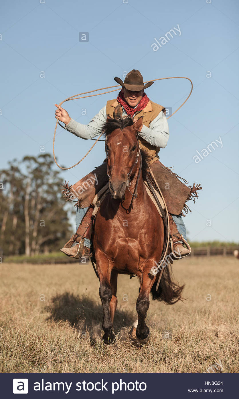 A cowboy on horseback galloping with his lasso Stock Photo, Royalty