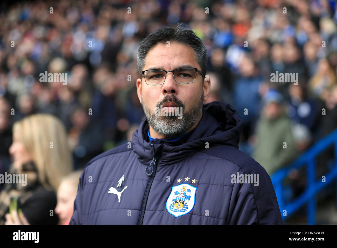 Huddersfield Town manager David Wagner Stock Photo, Royalty Free Image