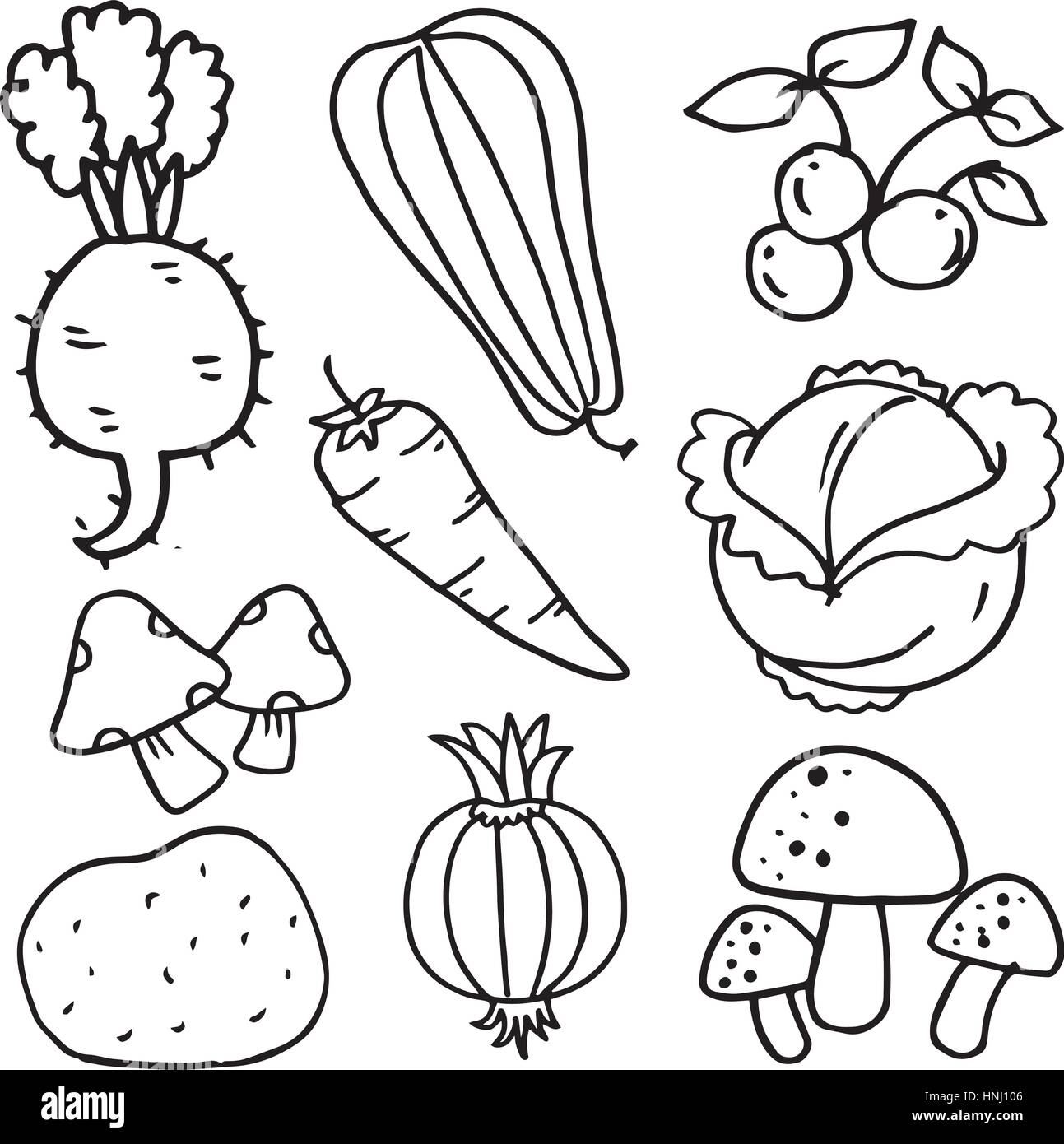 Doodle Of Vegetables Illustration Vector Collection Stock Stock Vector