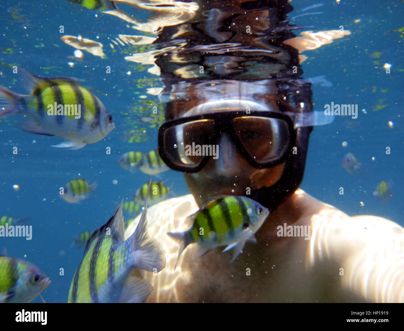 Snorkeling in Koh Rok in The Lanta Marine National Park ...