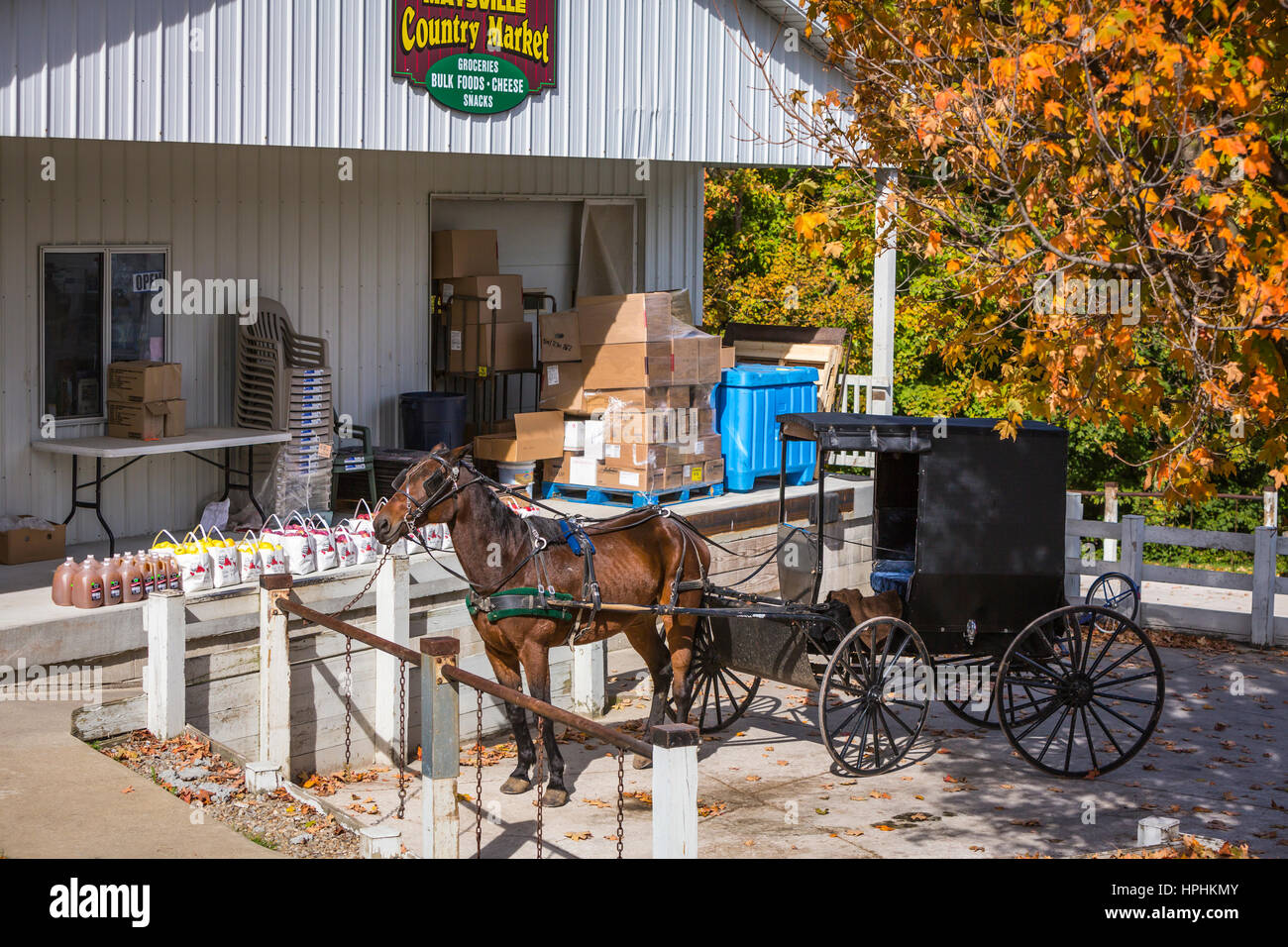 An Amish horse and buggy at a Country Market in Maysville, Ohio, USA