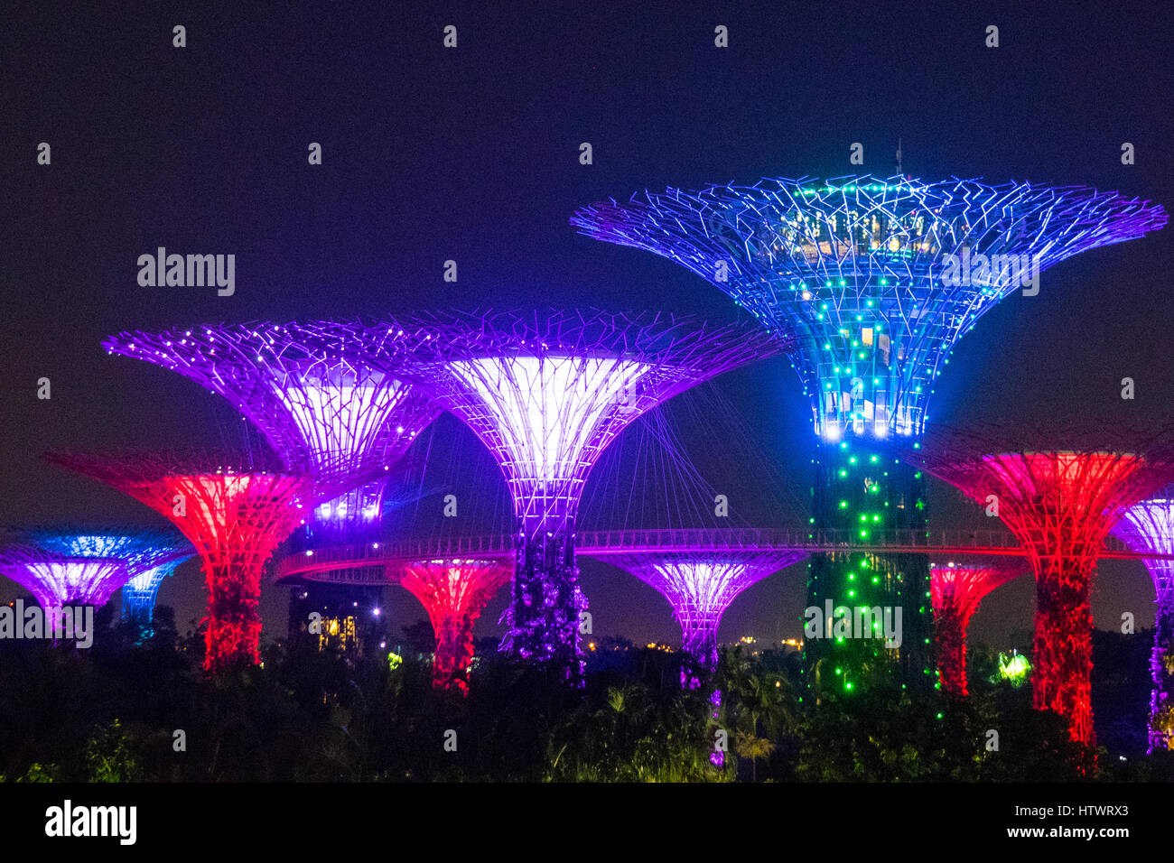 light and music show called the ocbc garden rhapsody lighting up the supertrees at the gardens by the bay marina sands singapore - Garden By The Bay Music light and music show called the ocbc garden rhapsody lighting up the supertrees at the gardens by the bay marina sands singapore - Garden By The Bay Music