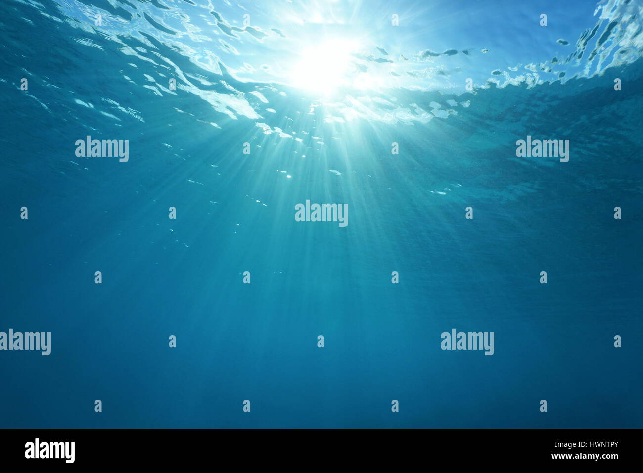 32 Best Underwater Sunlight for Underwater Sunlight Drawing
67qdu 32 Best Underwater Sunlight for Underwater Sunlight Drawing
67qdu