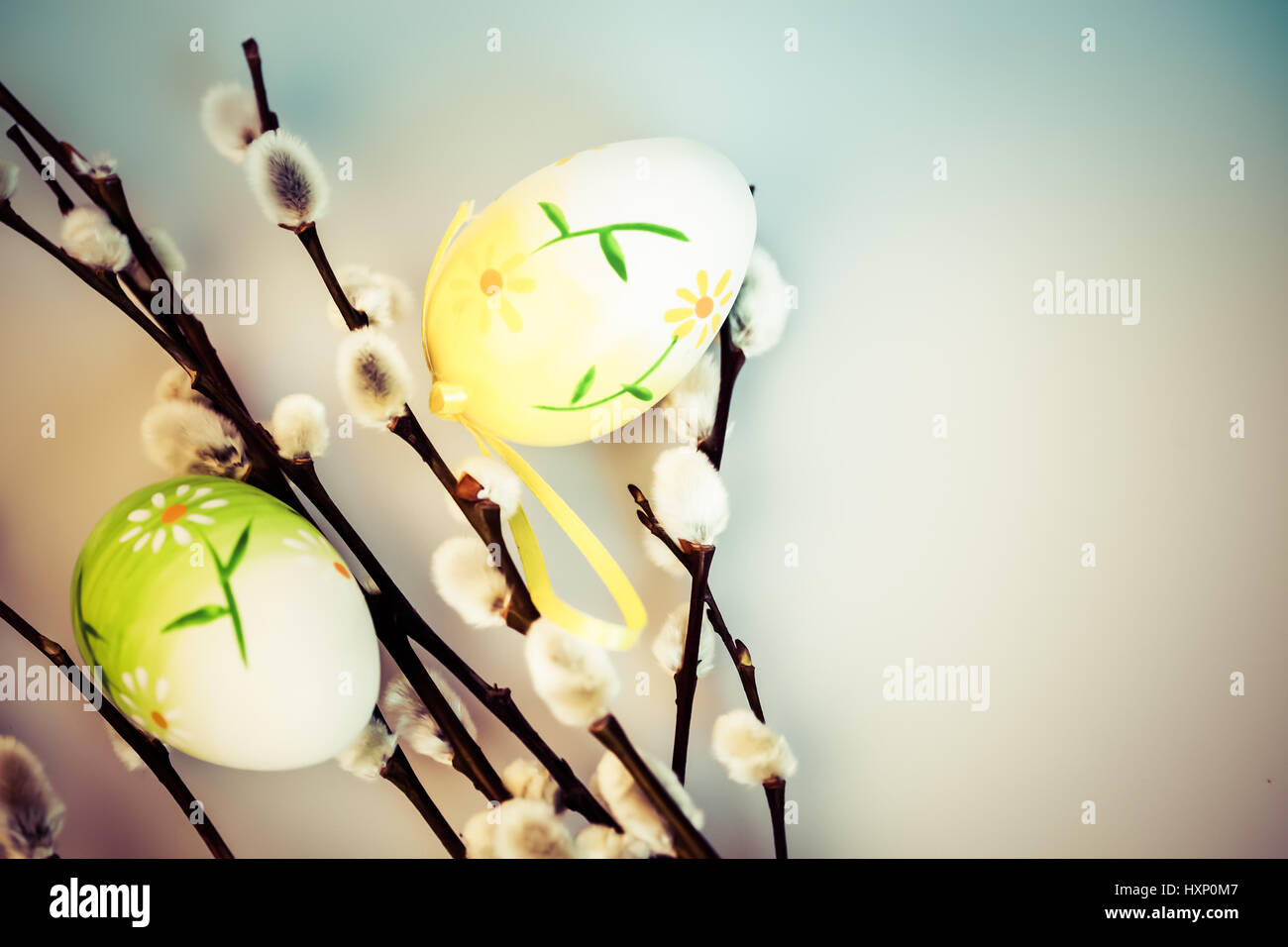 Pussy Willow And Easter Eggs Stock Photo Alamy
