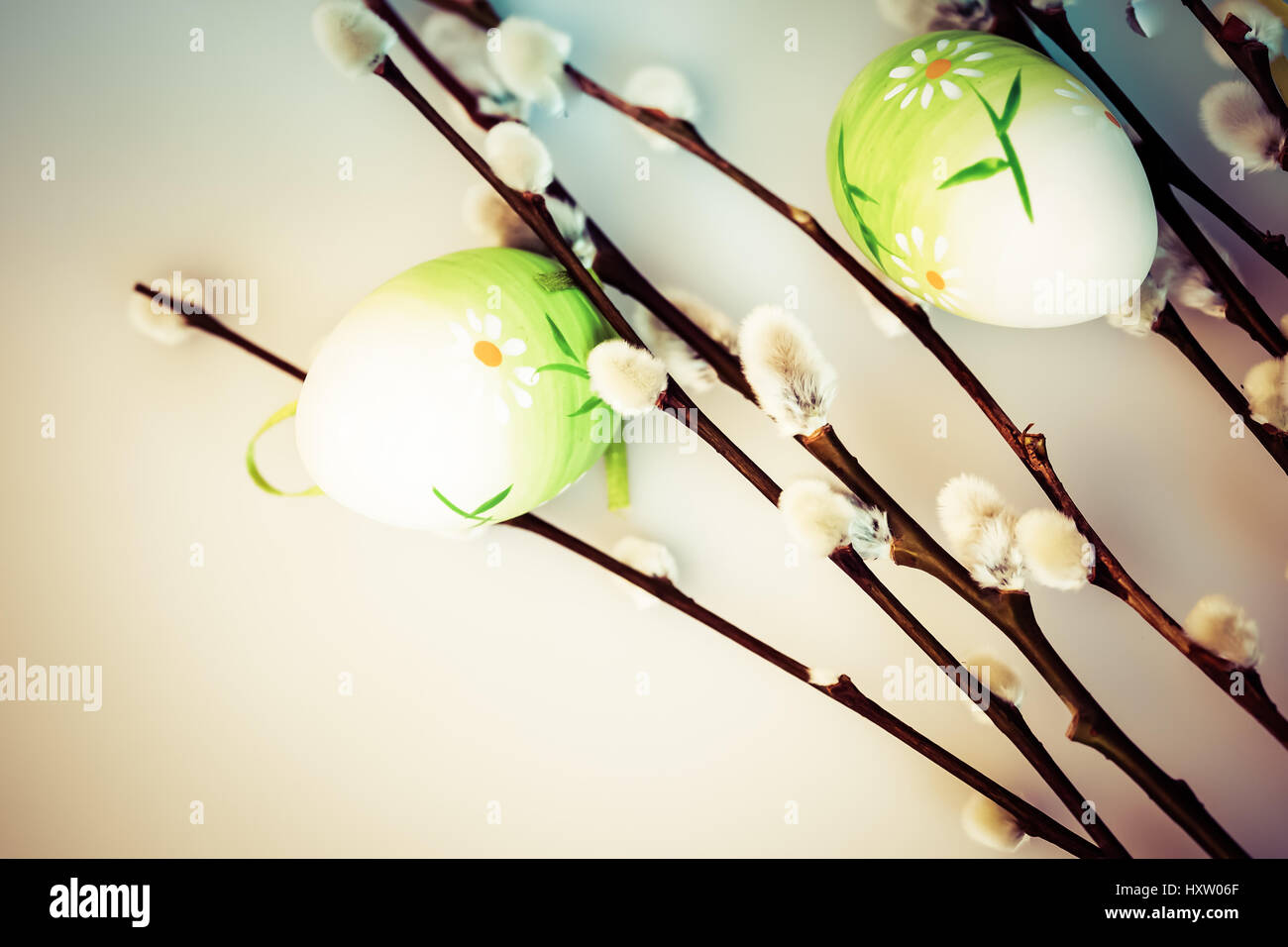Pussy Willow And Easter Eggs Stock Photo Alamy