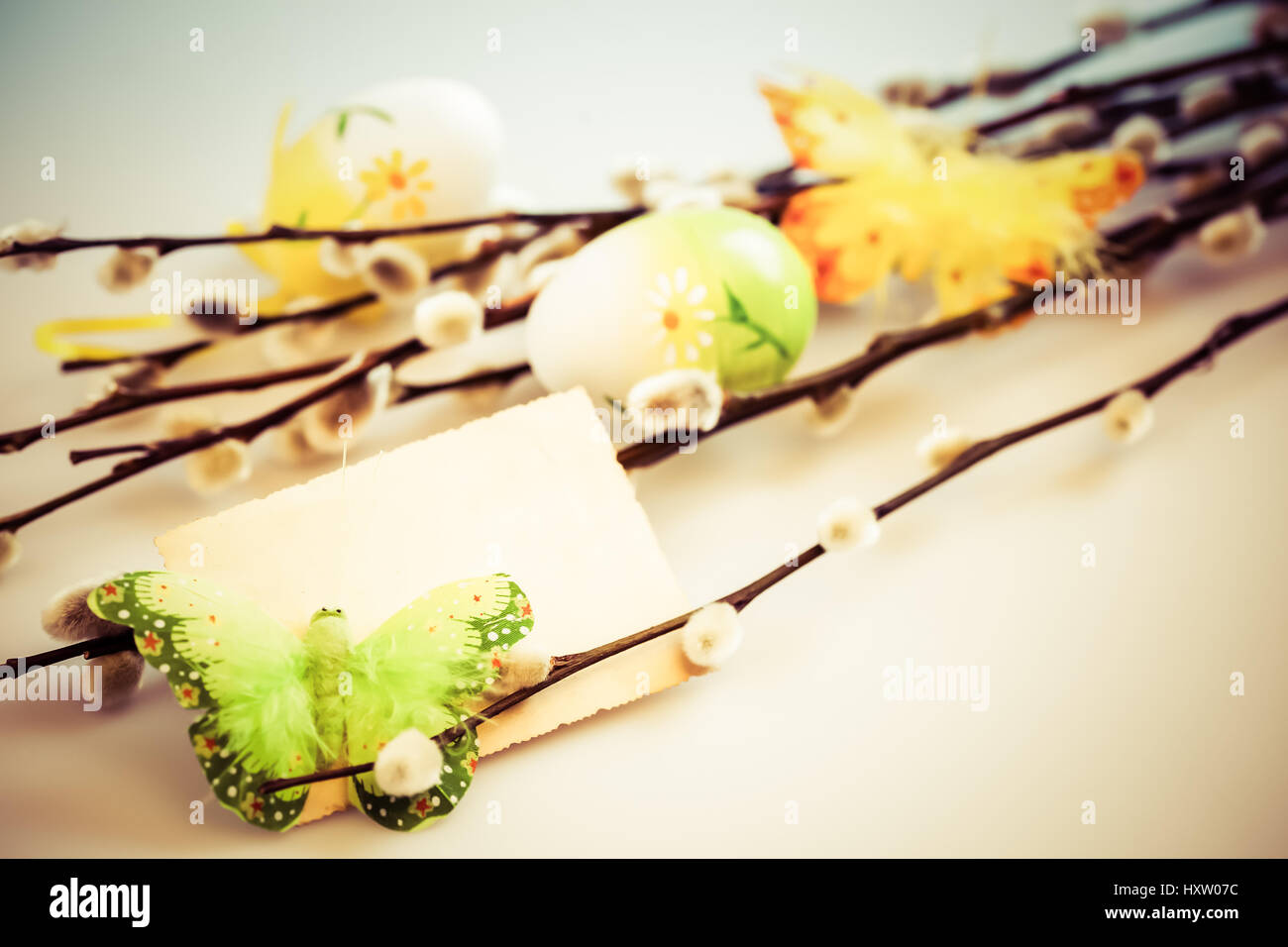 Pussy Willow And Easter Eggs Stock Photo Alamy