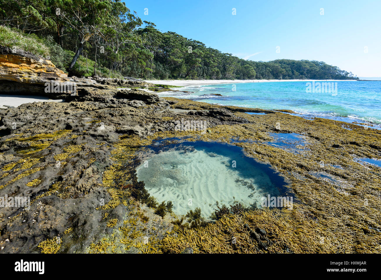 Circular rock pool and seaweeds at Murray's Beach, Booderee National