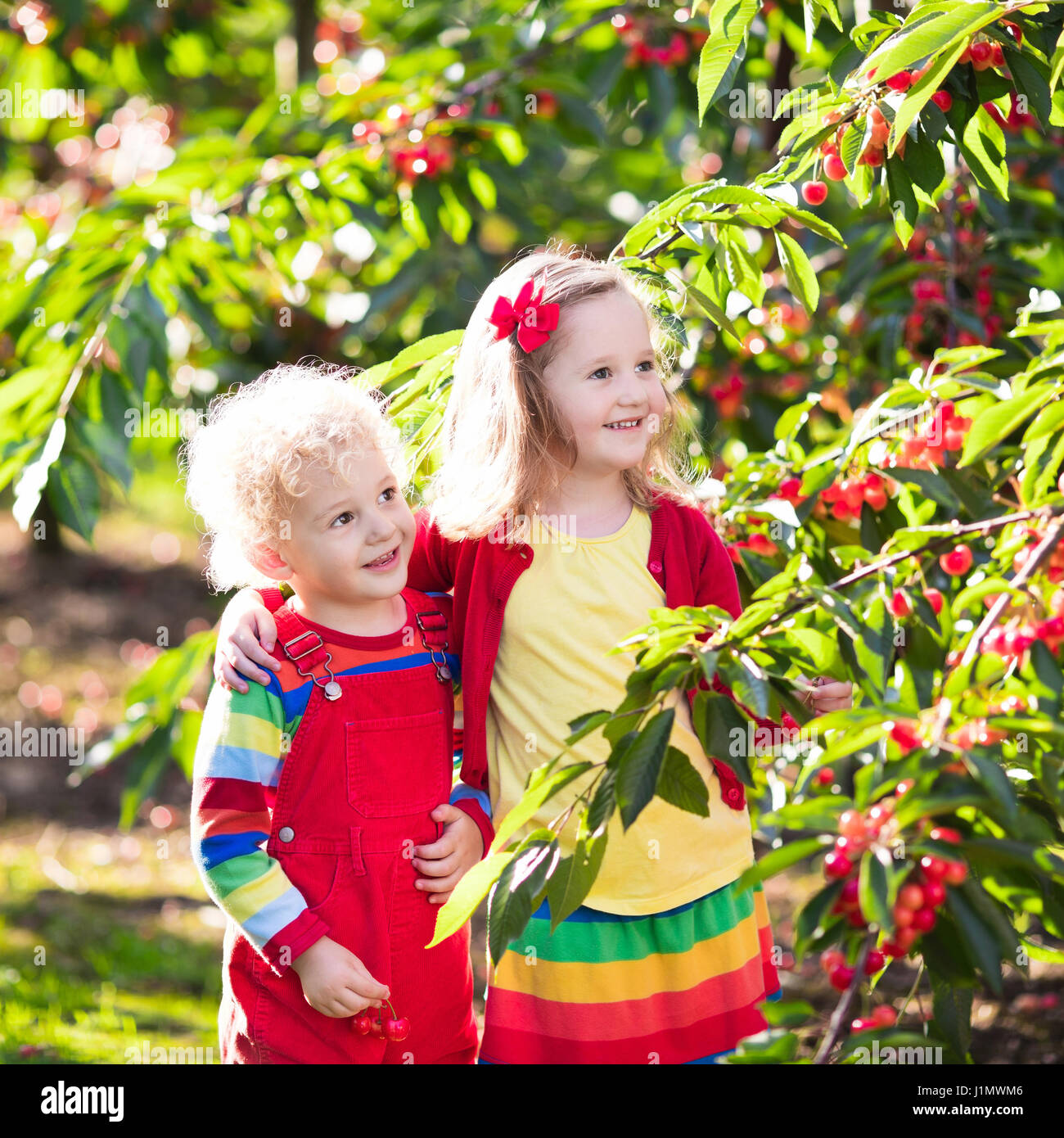 Kids picking cherry on a fruit farm. Children pick cherries in ... for Fruit Farm Photography
126eri Kids picking cherry on a fruit farm. Children pick cherries in ... for Fruit Farm Photography
126eri