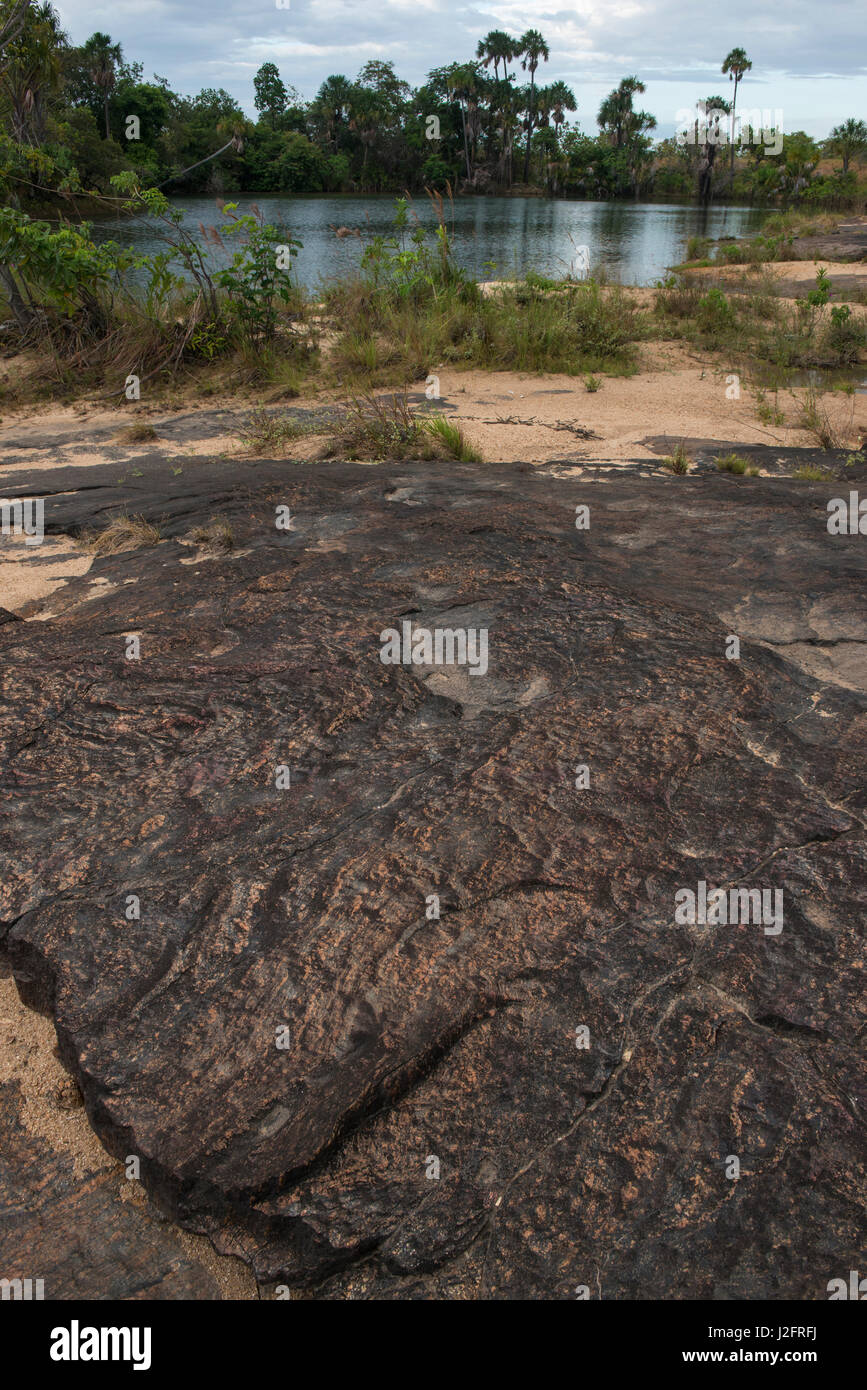 Rupununi River Savanna Rupununi Guyana Stock Photo Alamy