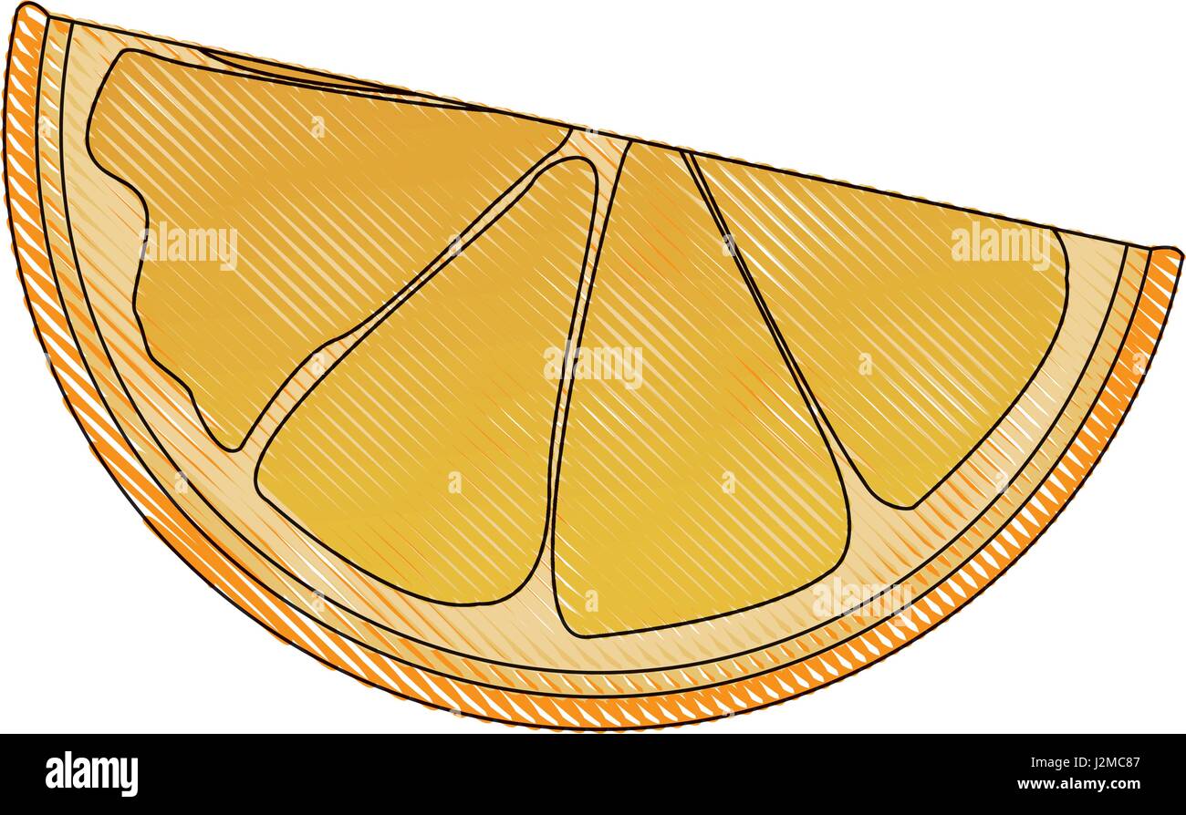 drawing slice orange citrus fruit harvest Stock Vector Art ... for Drawing Orange Fruit
54lyp drawing slice orange citrus fruit harvest Stock Vector Art ... for Drawing Orange Fruit
54lyp