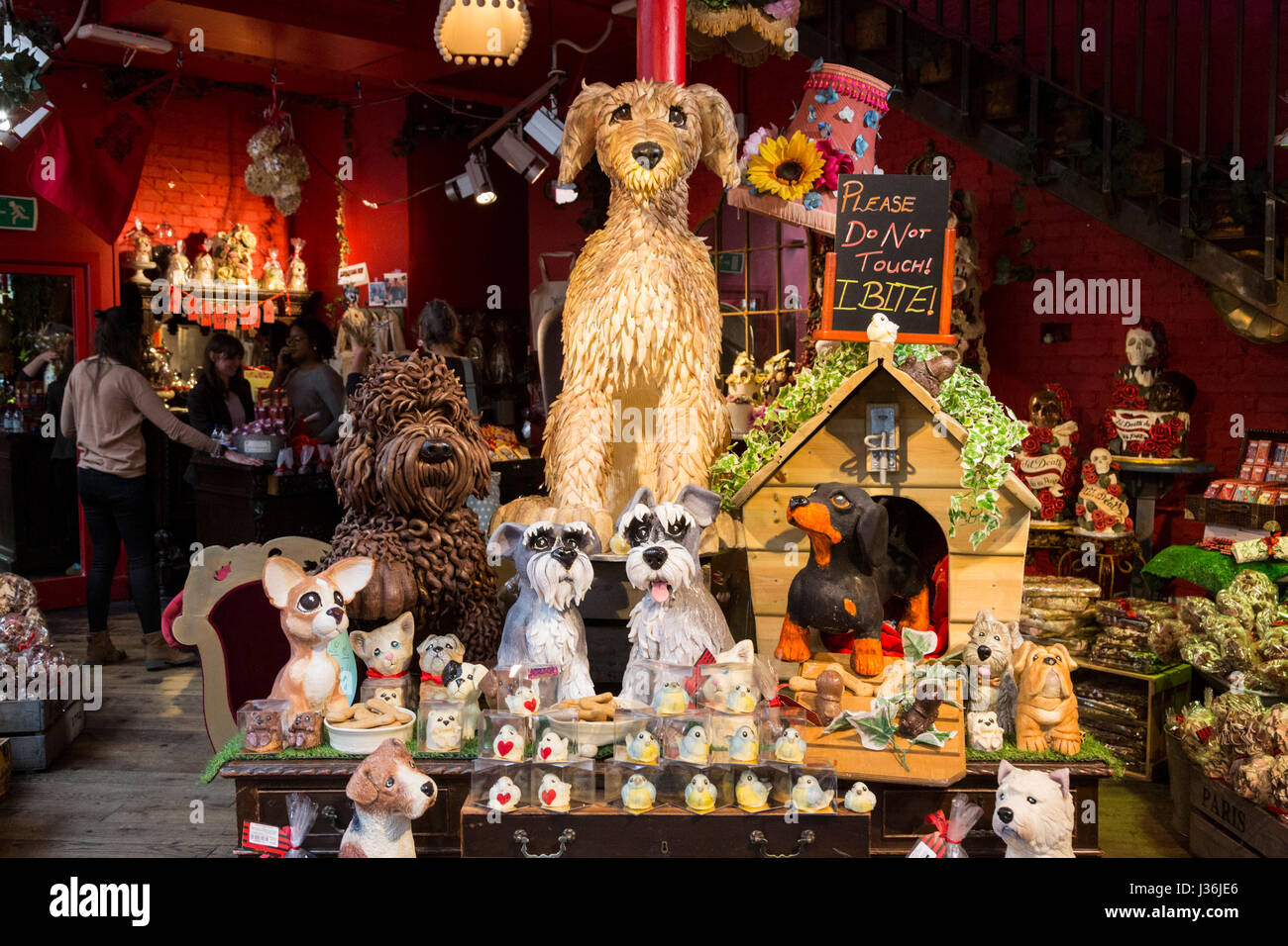Chocolate dog creations in the Choccywoccydoodah shop in Soho Stock