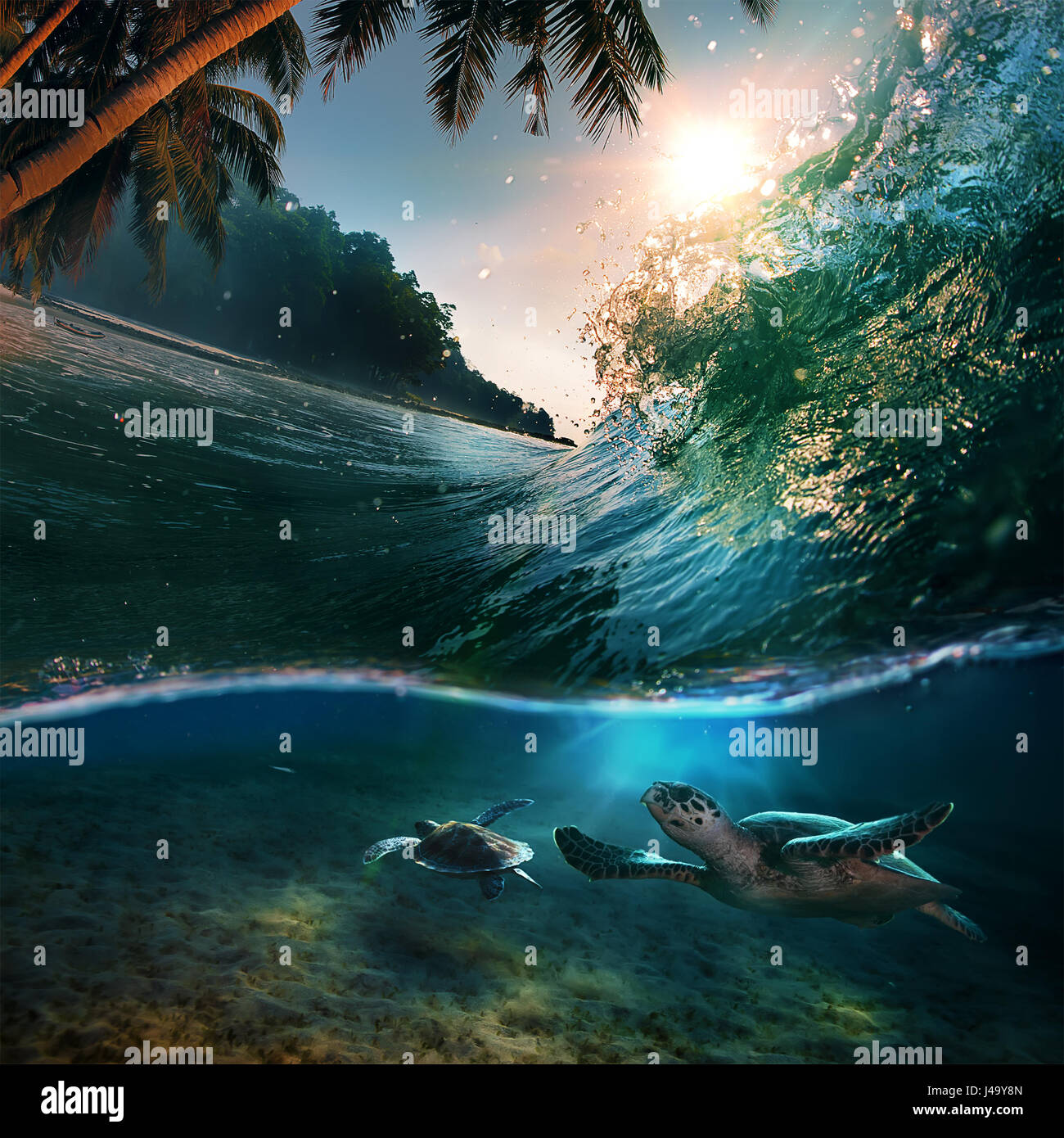 ocean template
