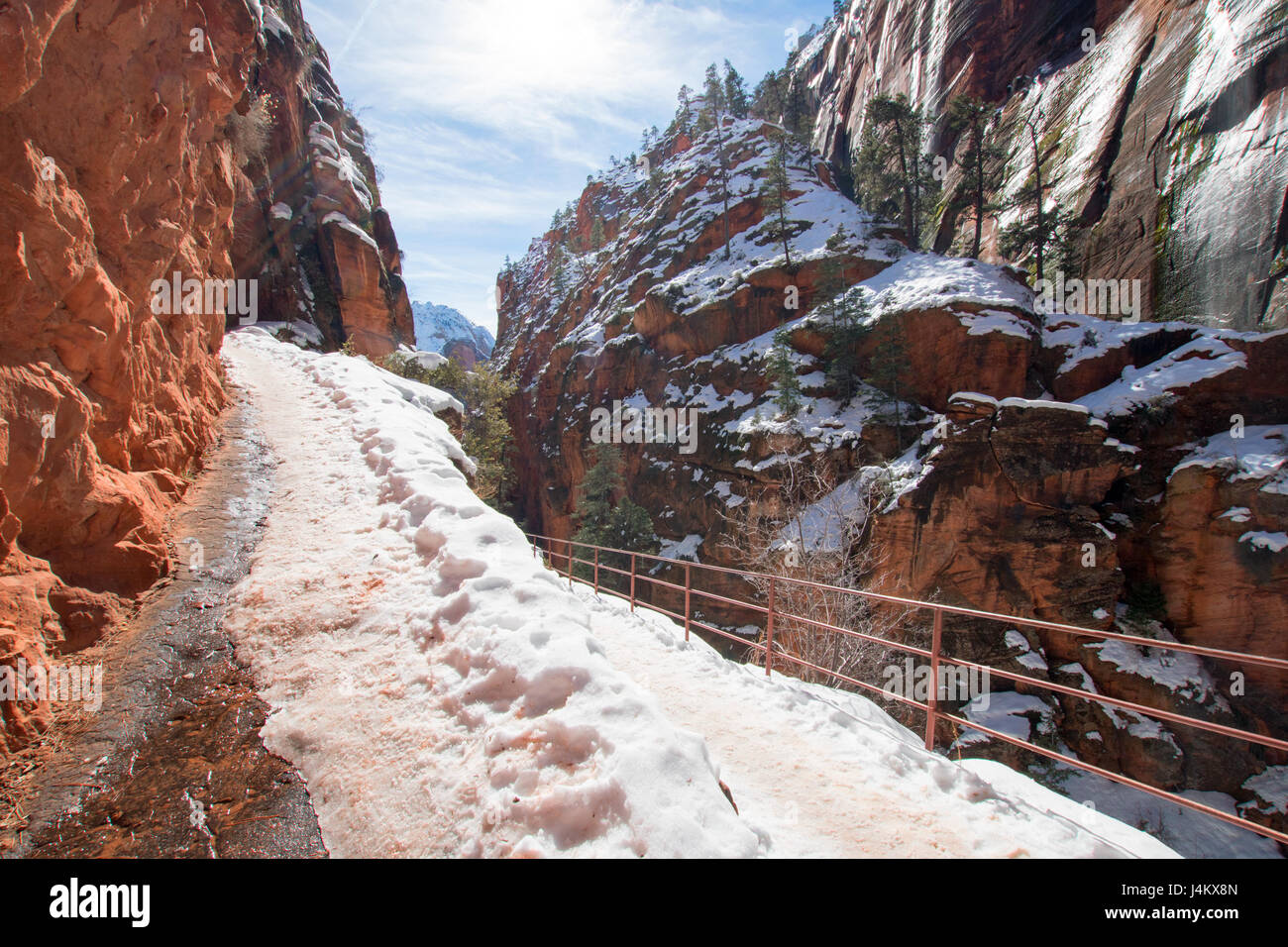 13+ Zion National Park During December Images