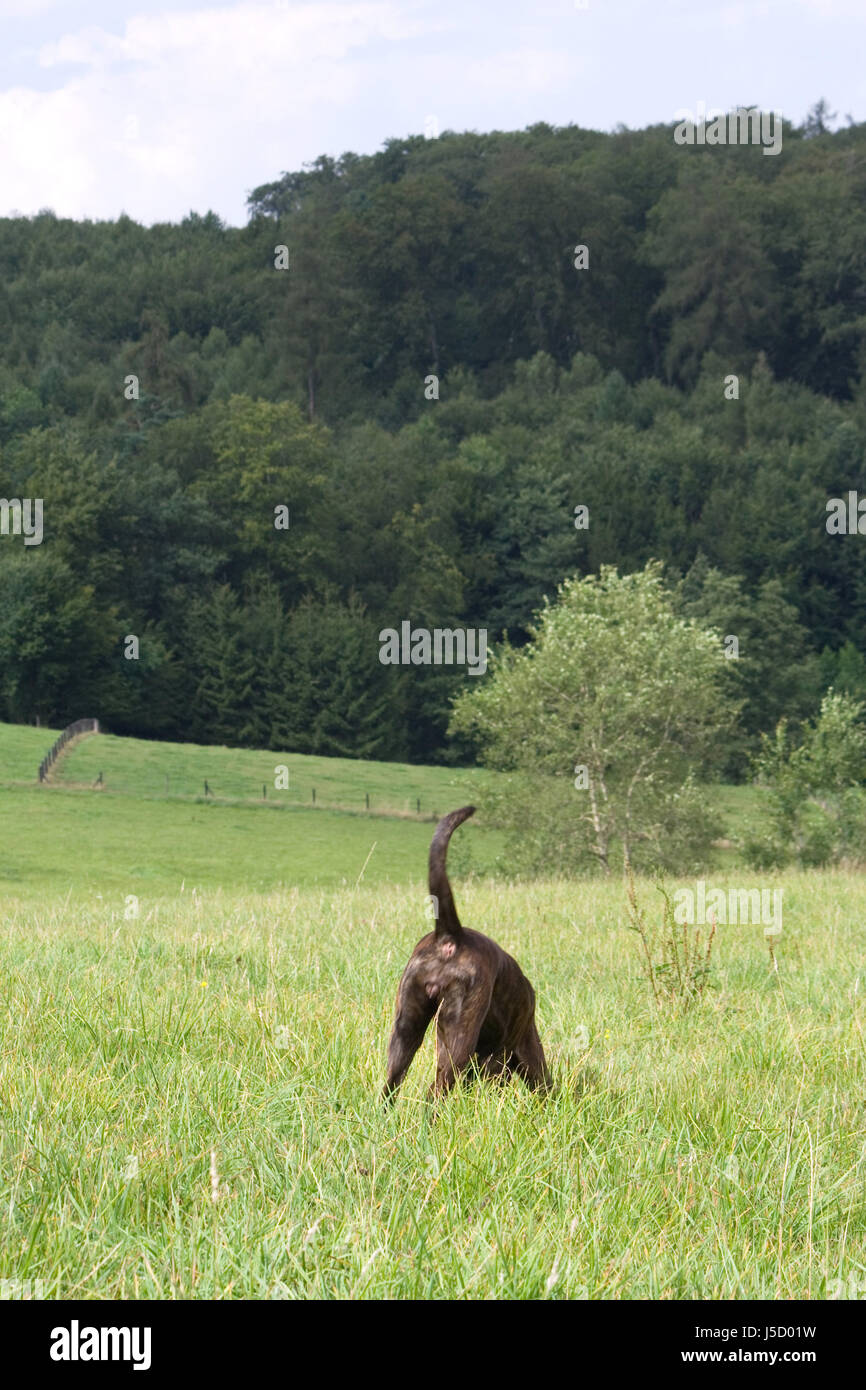 Eingefrorene Stock Photos & Eingefrorene Stock Images - Alamy