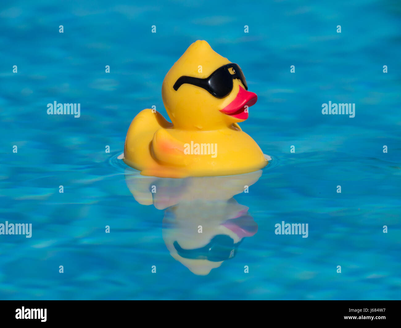 inflatable duck with sunglasses